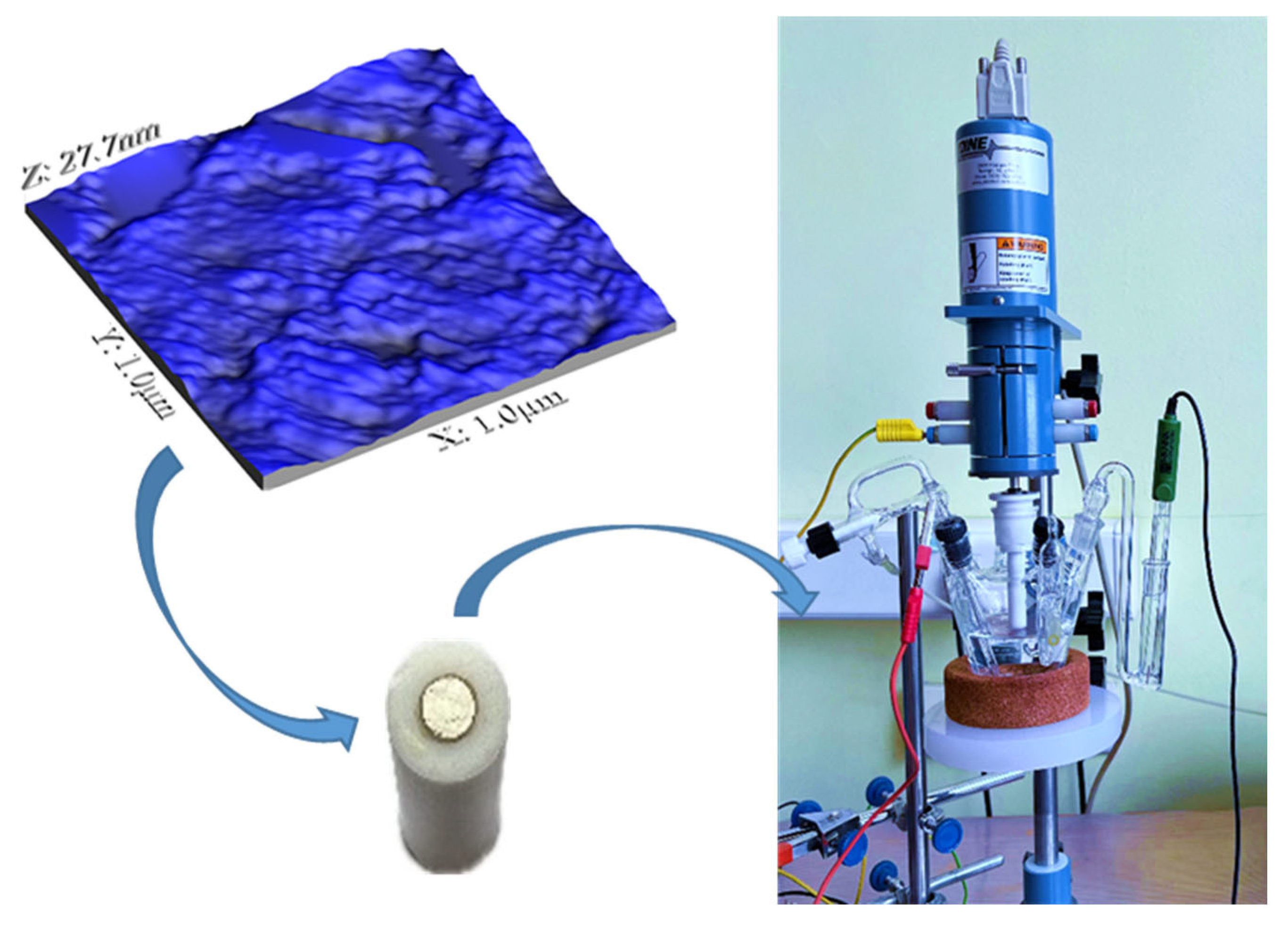 Catalysts 14 00327 sch001