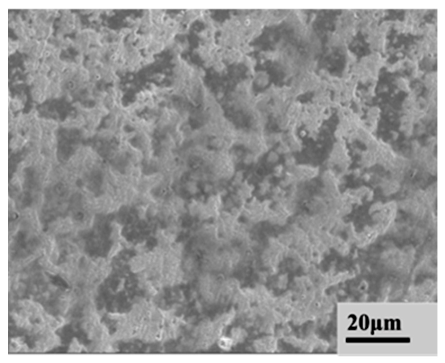 Coatings 14 00611 g005