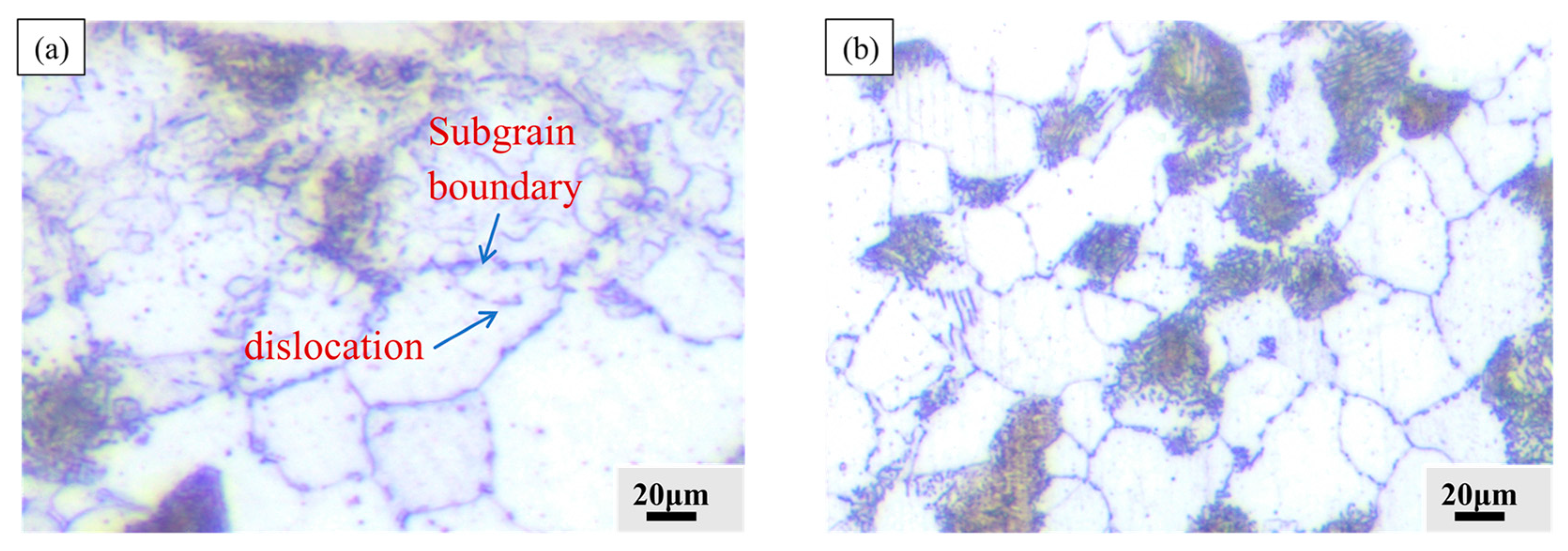 Coatings 14 00611 g015