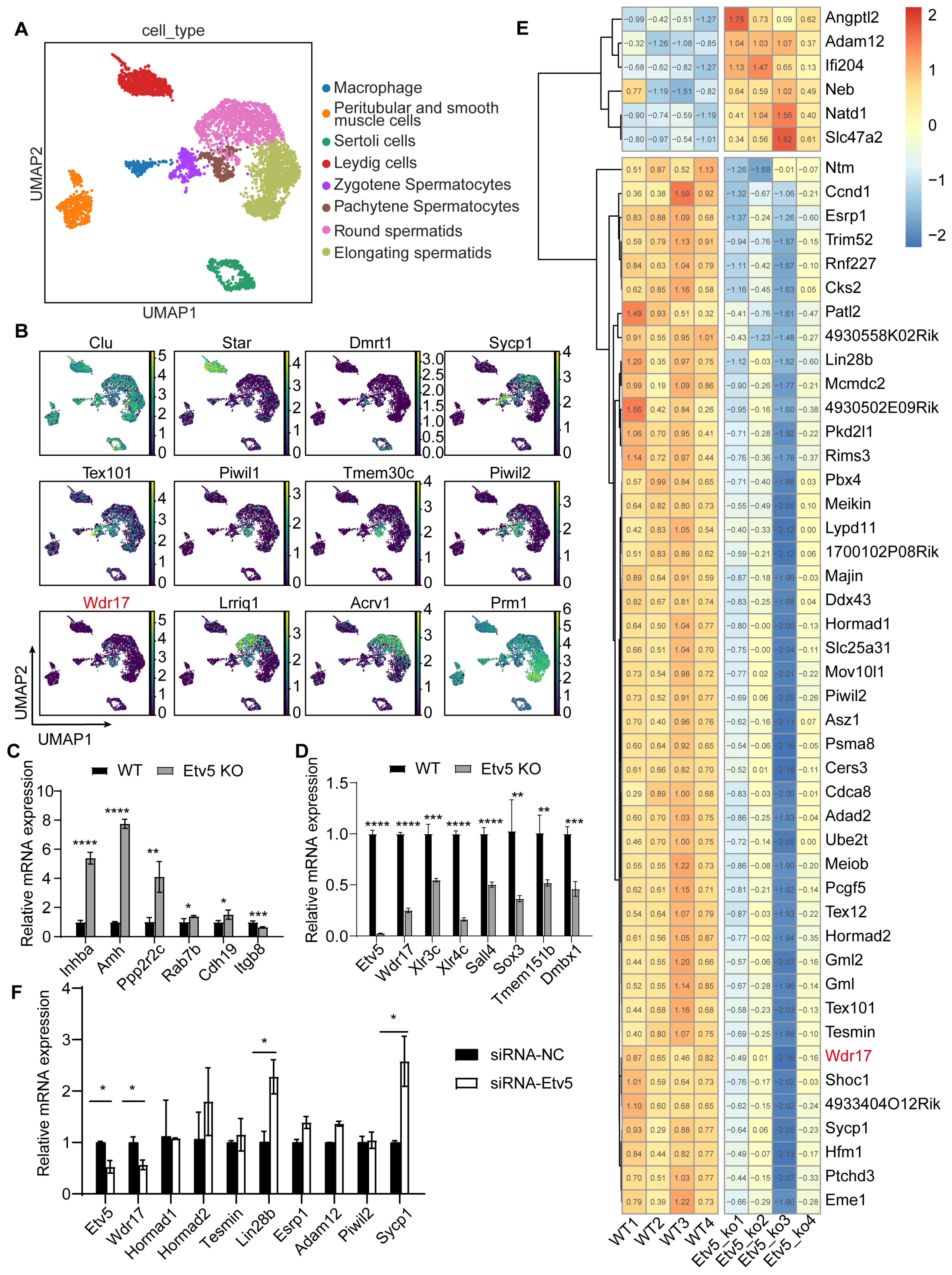 Animals 14 01418 g001