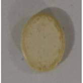 Applsci 14 03980 i002