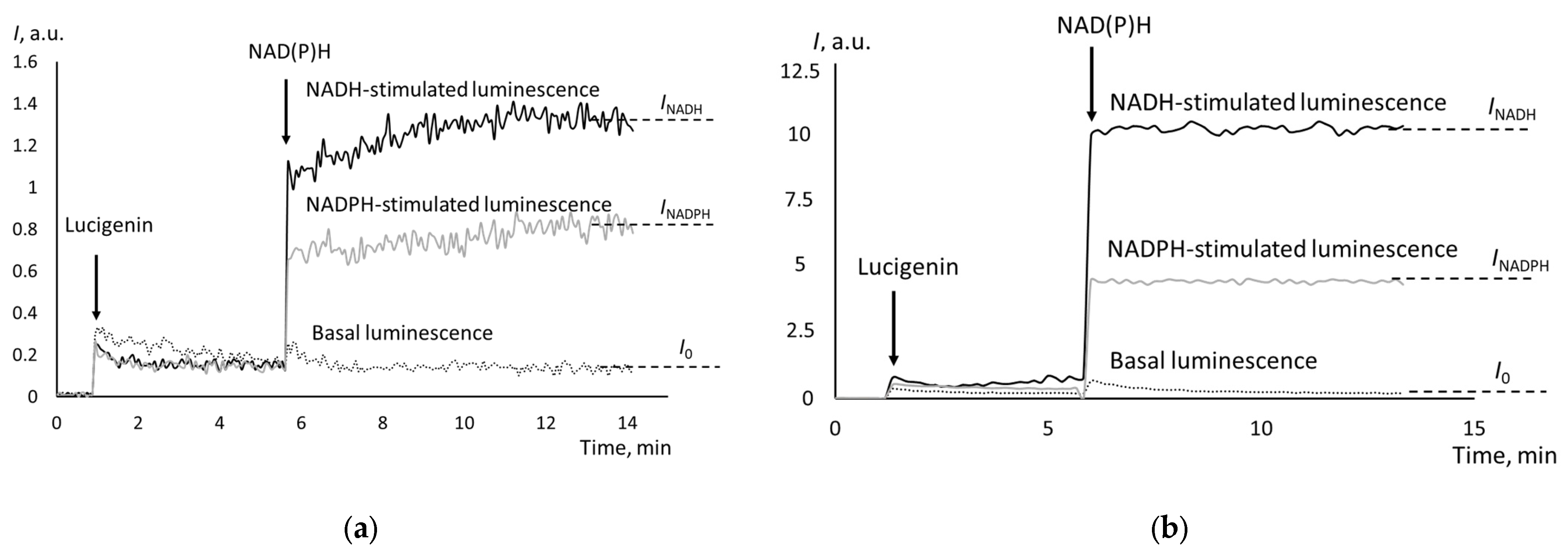 Biomedicines 12 01052 g002