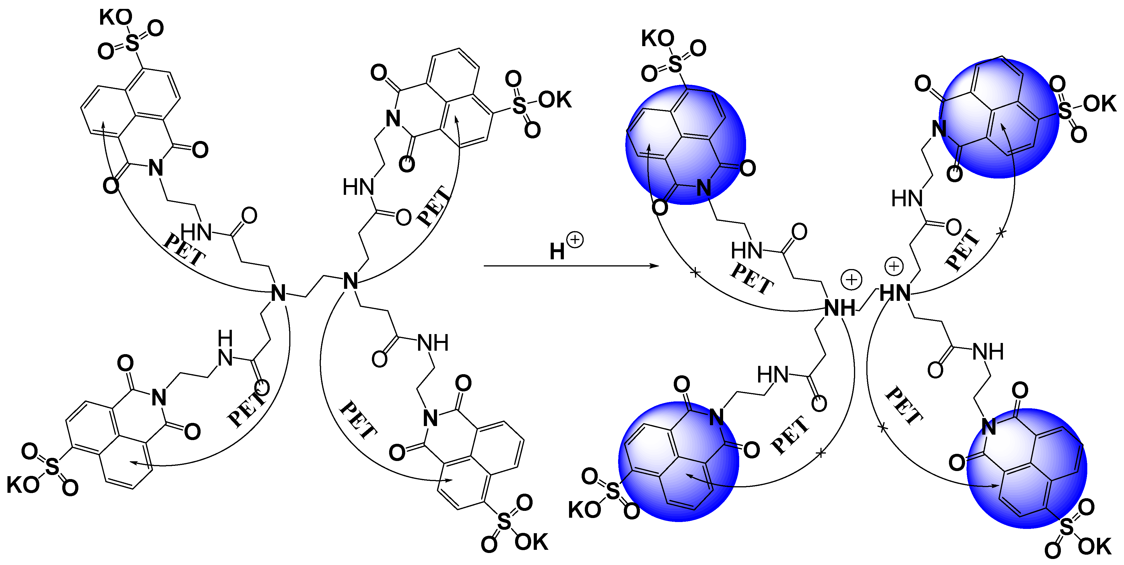 Chemosensors 12 00079 sch002