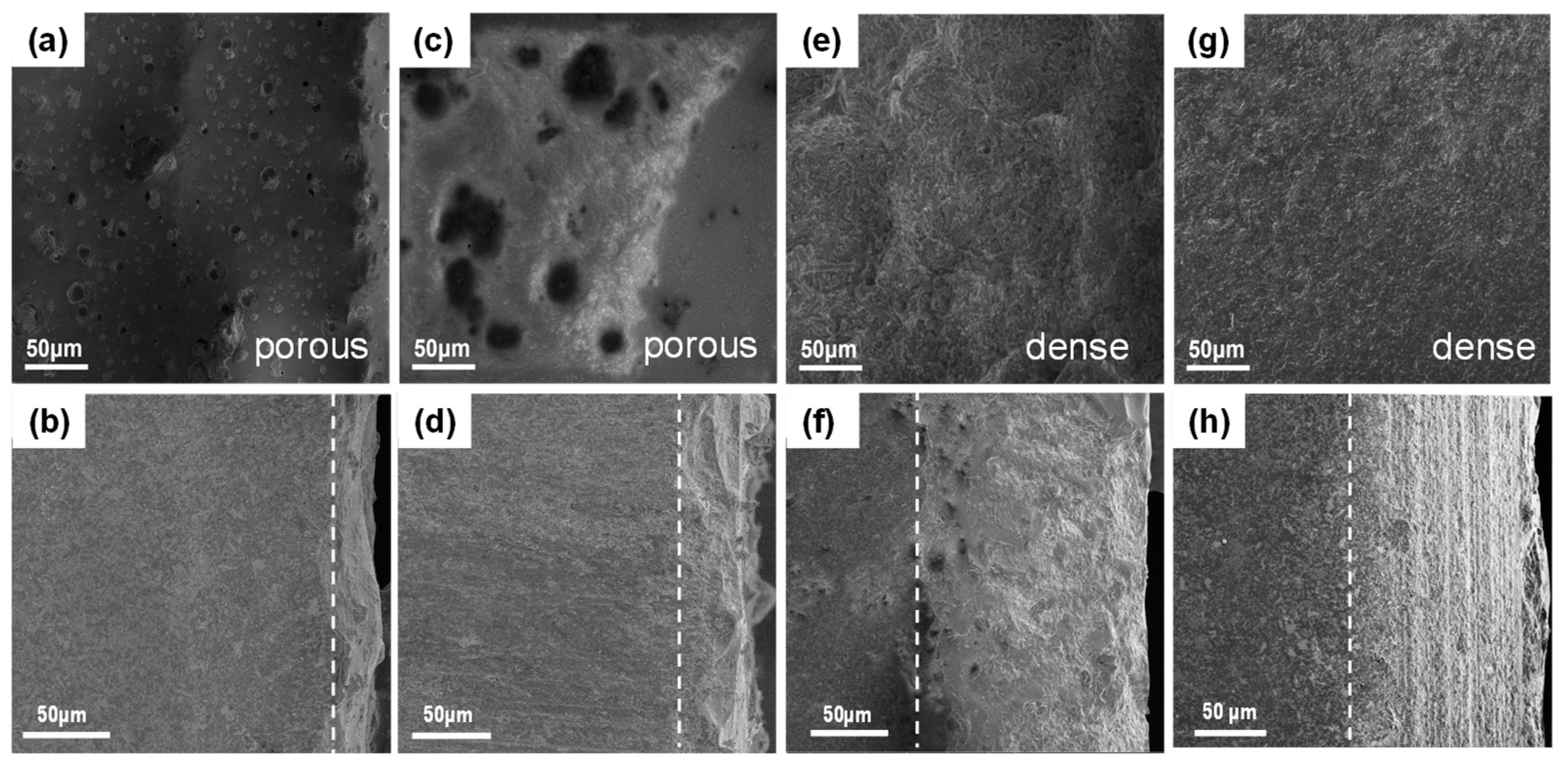 Crystals 14 00014 g007