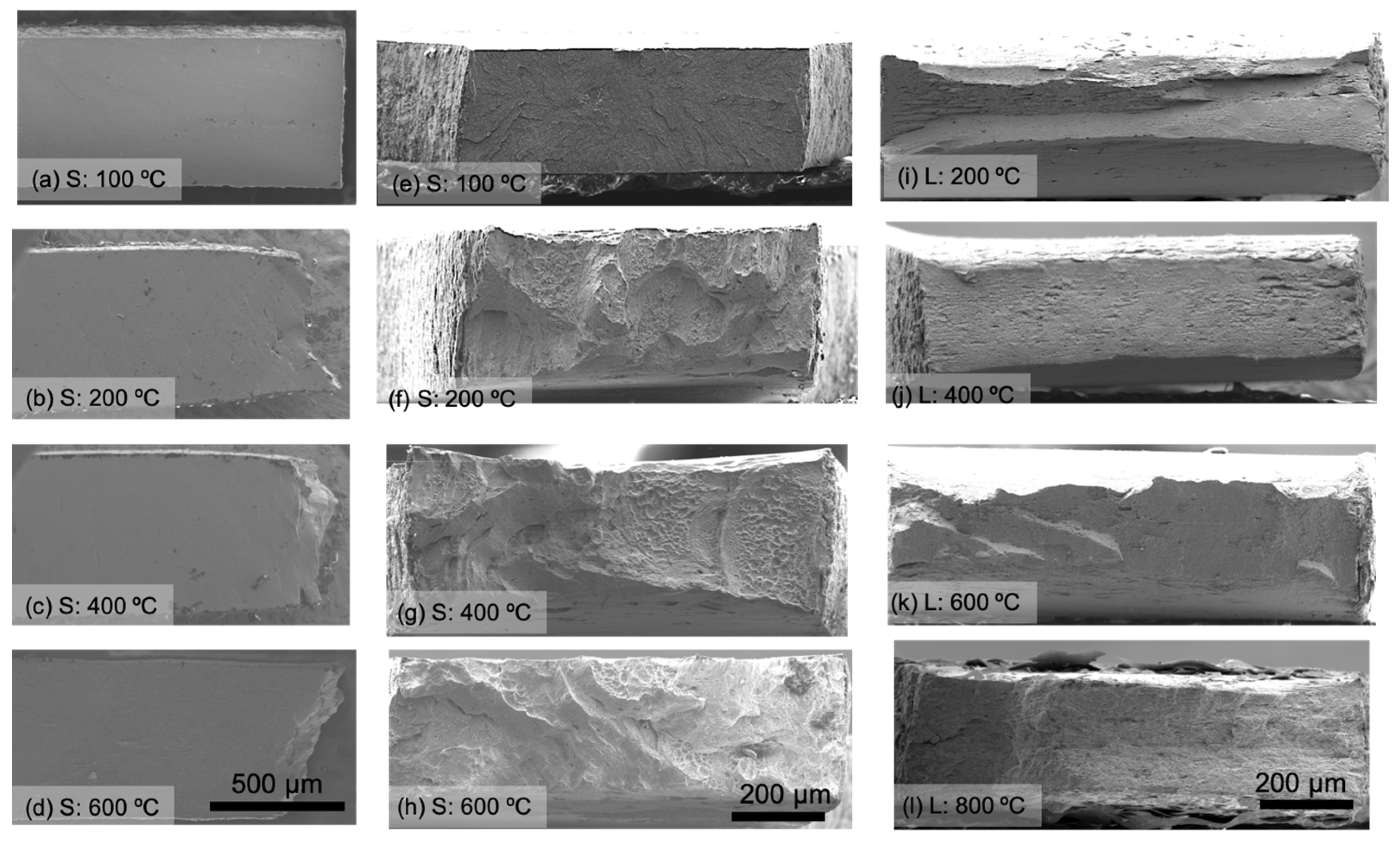 Crystals 14 00439 g006