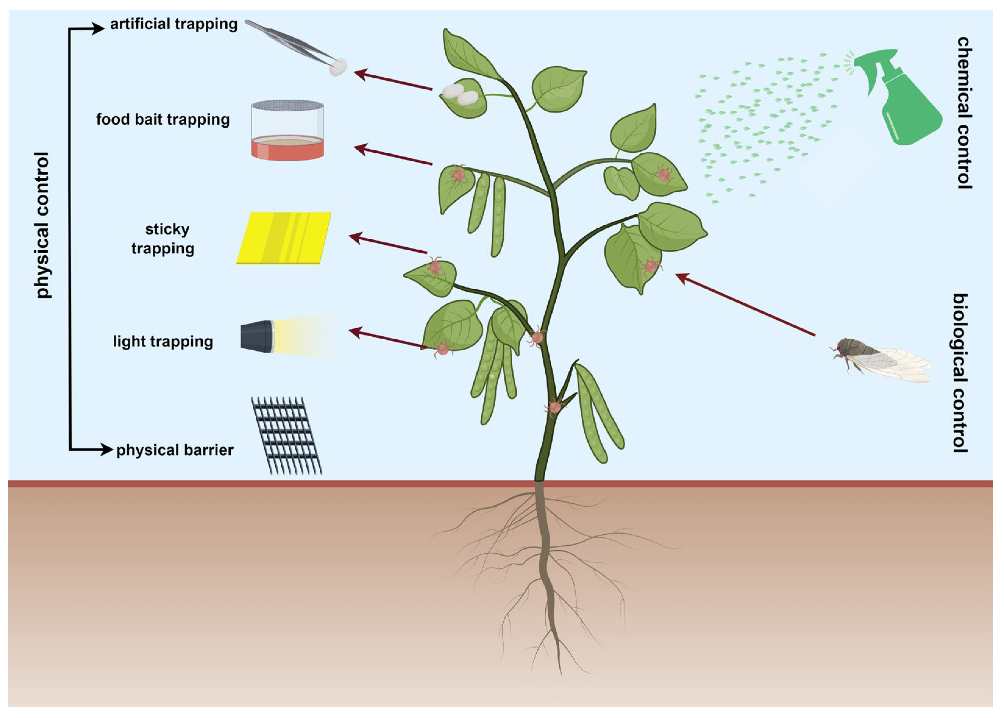 Forests 15 00890 g001