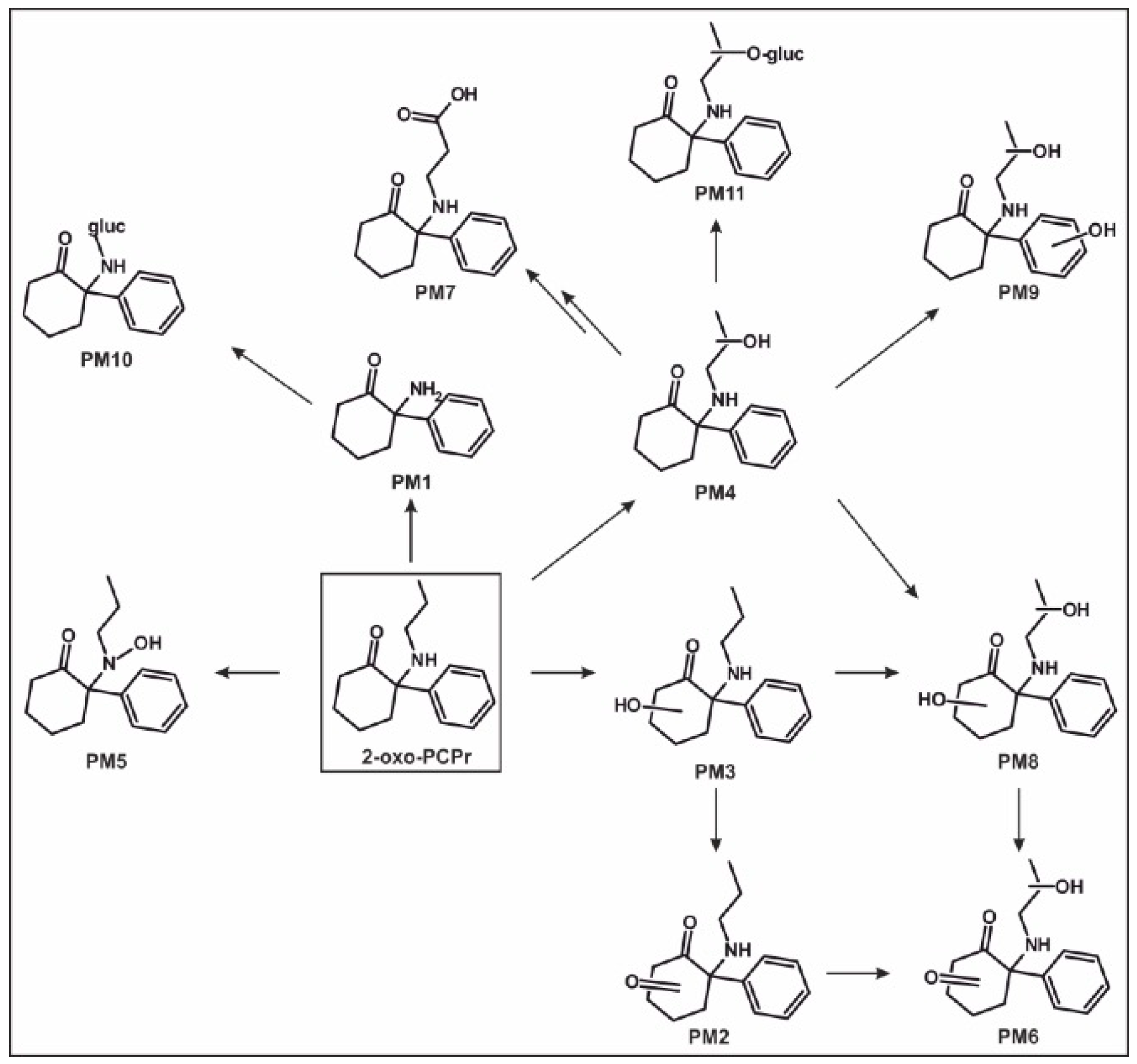 Metabolites 14 00270 g004