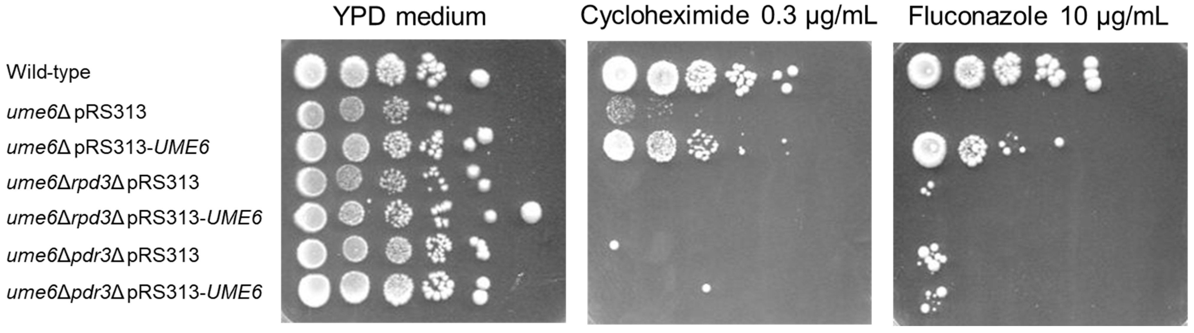 Microbiolres 15 00048 g004