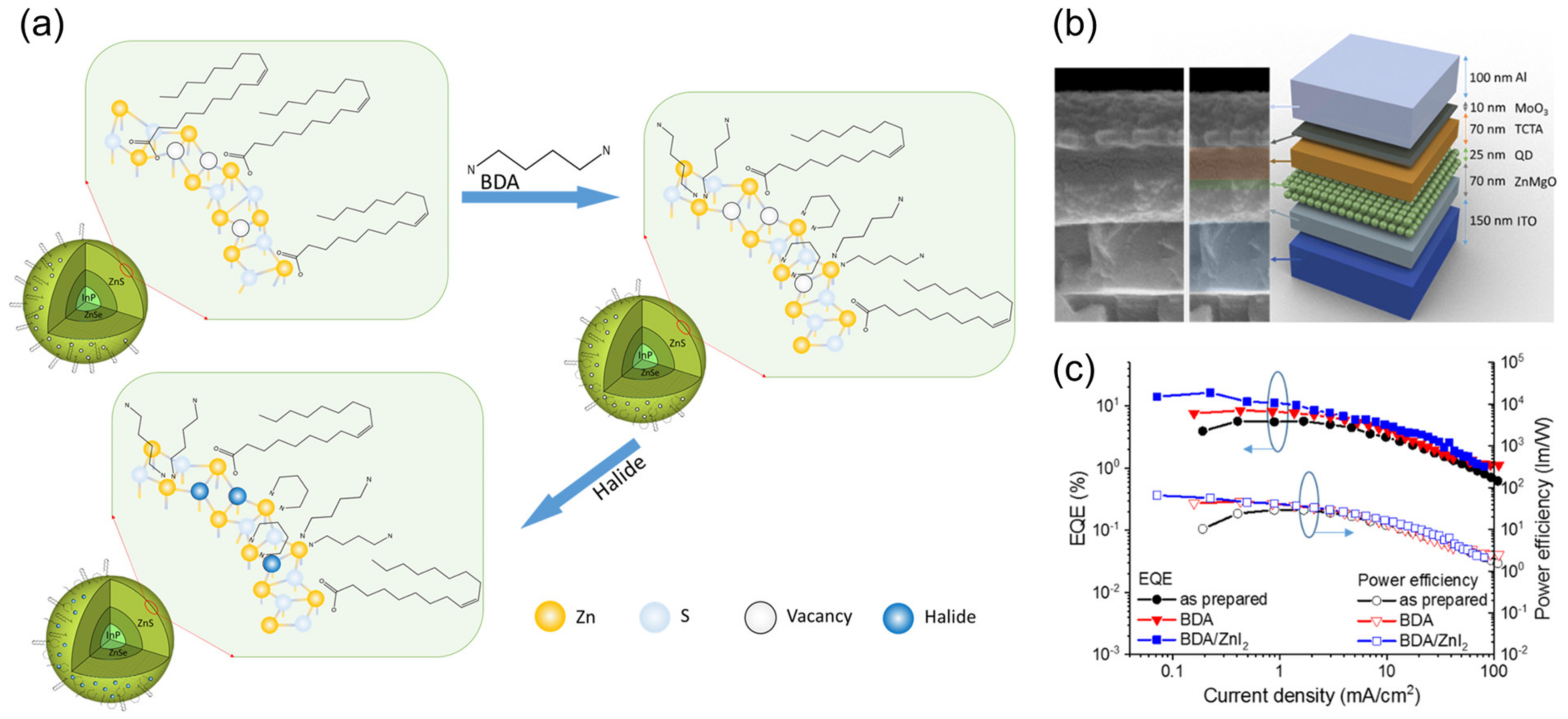 Nanomaterials 14 00832 g003