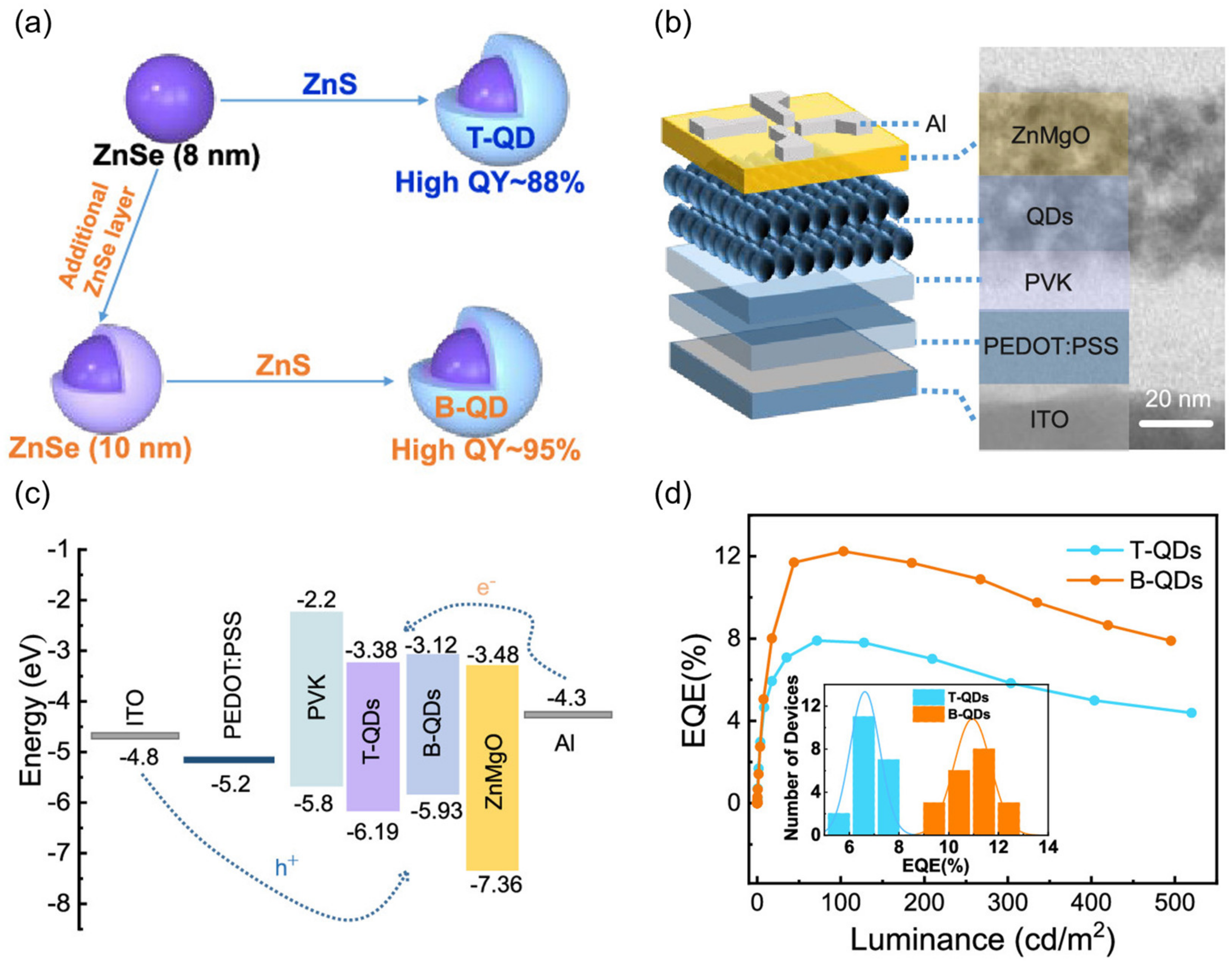 Nanomaterials 14 00832 g004