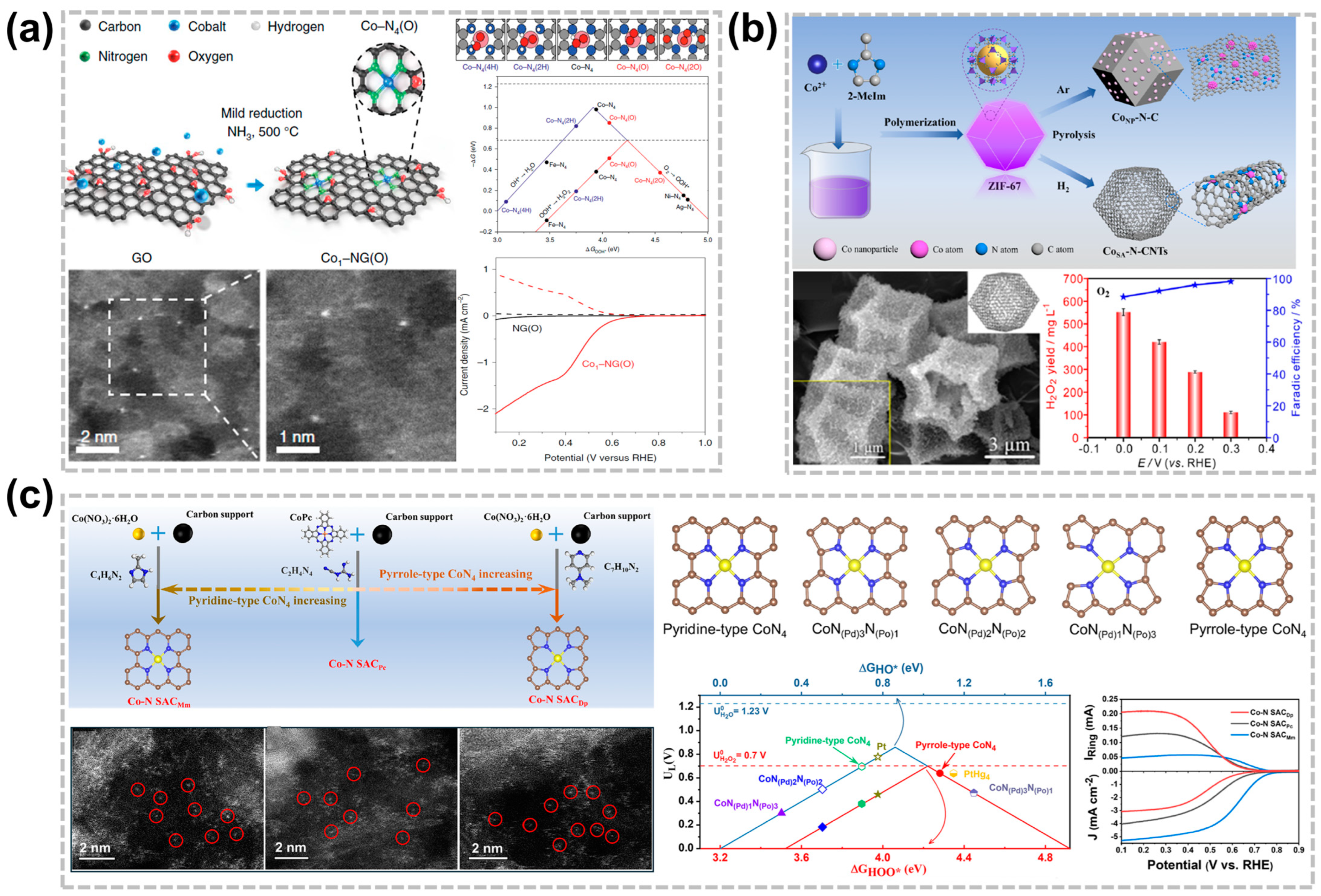 Nanomaterials 14 00835 g003