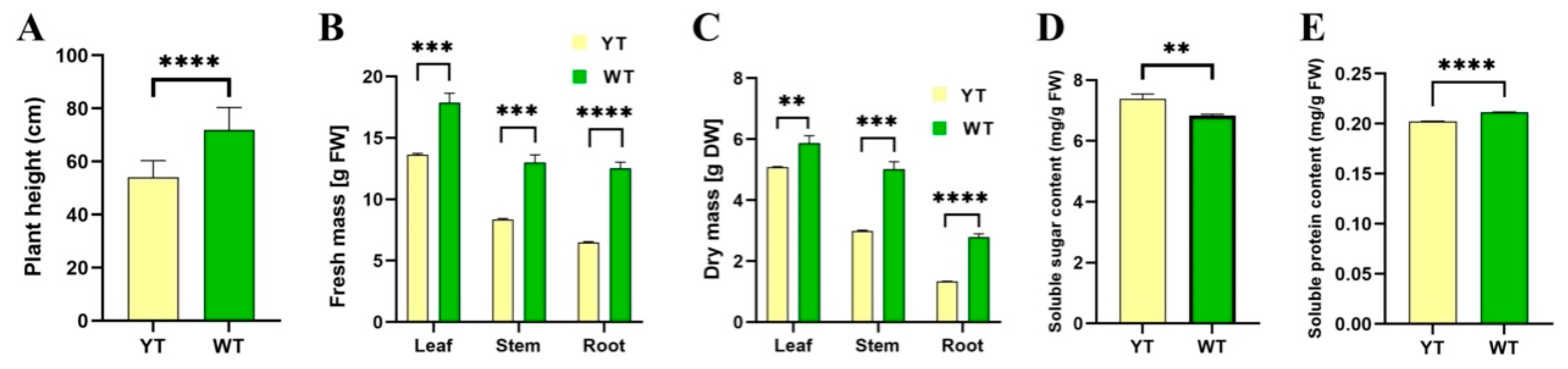Plants 13 01284 g004