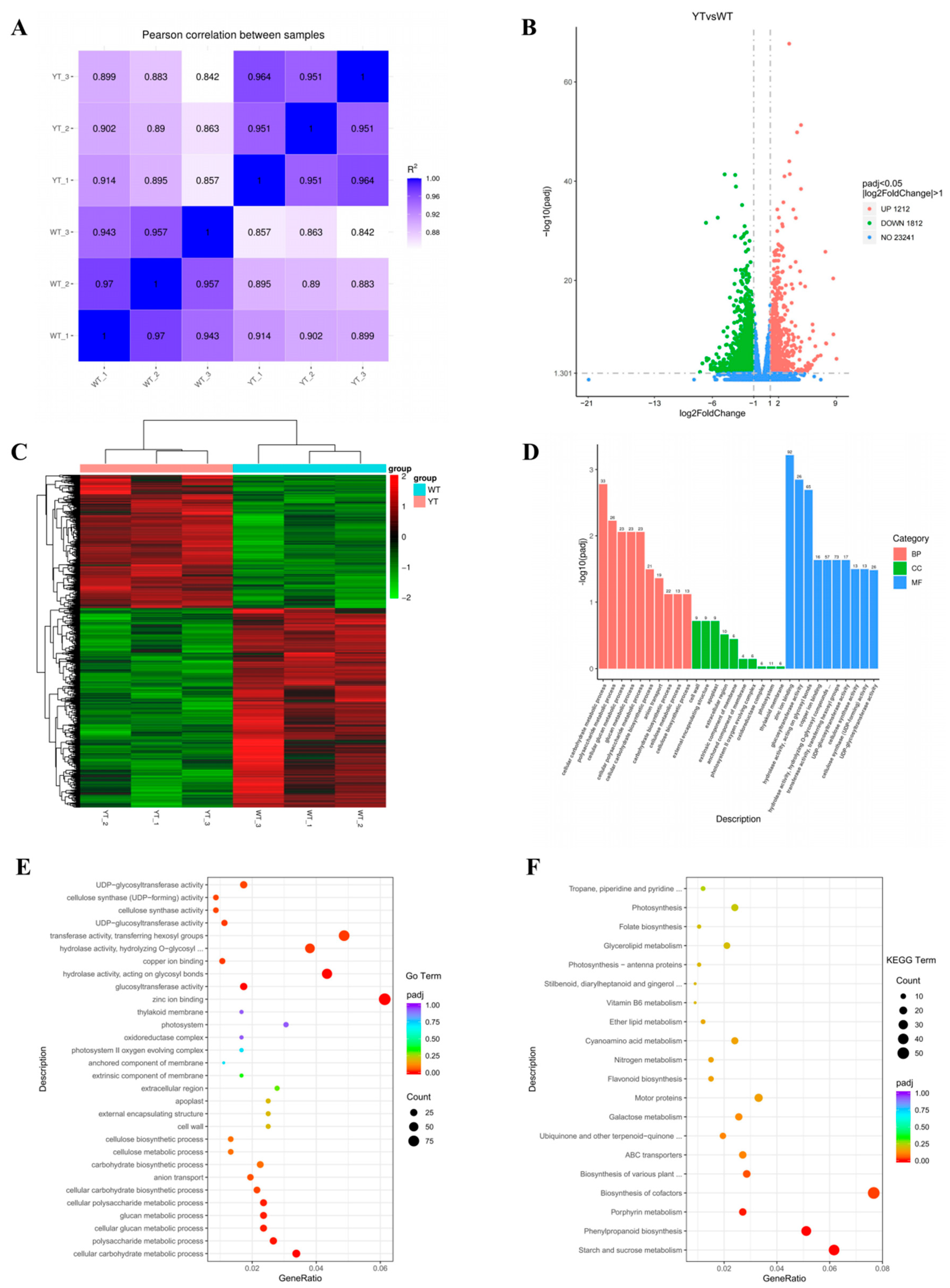 Plants 13 01284 g005