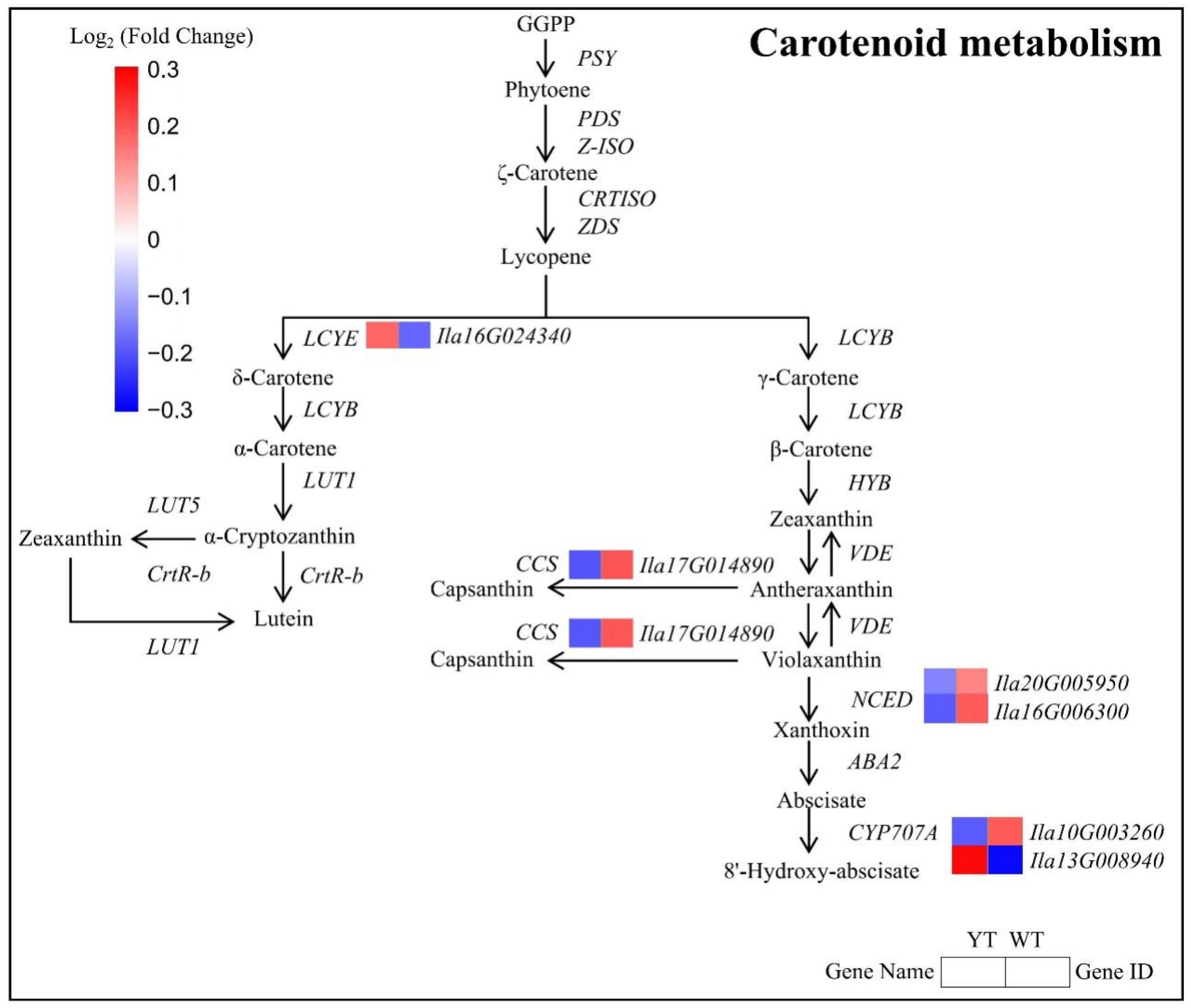 Plants 13 01284 g007