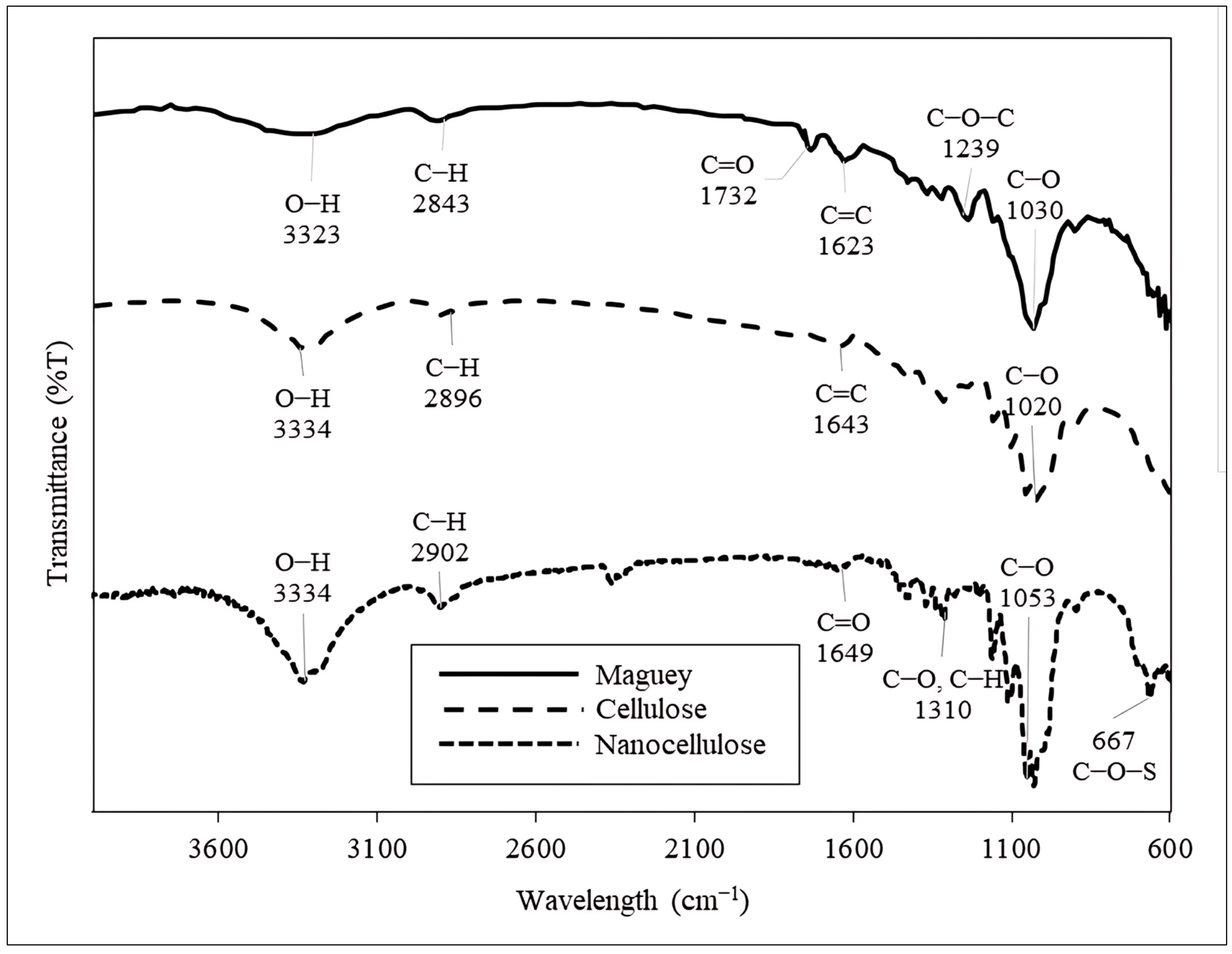 Polymers 16 01312 g004
