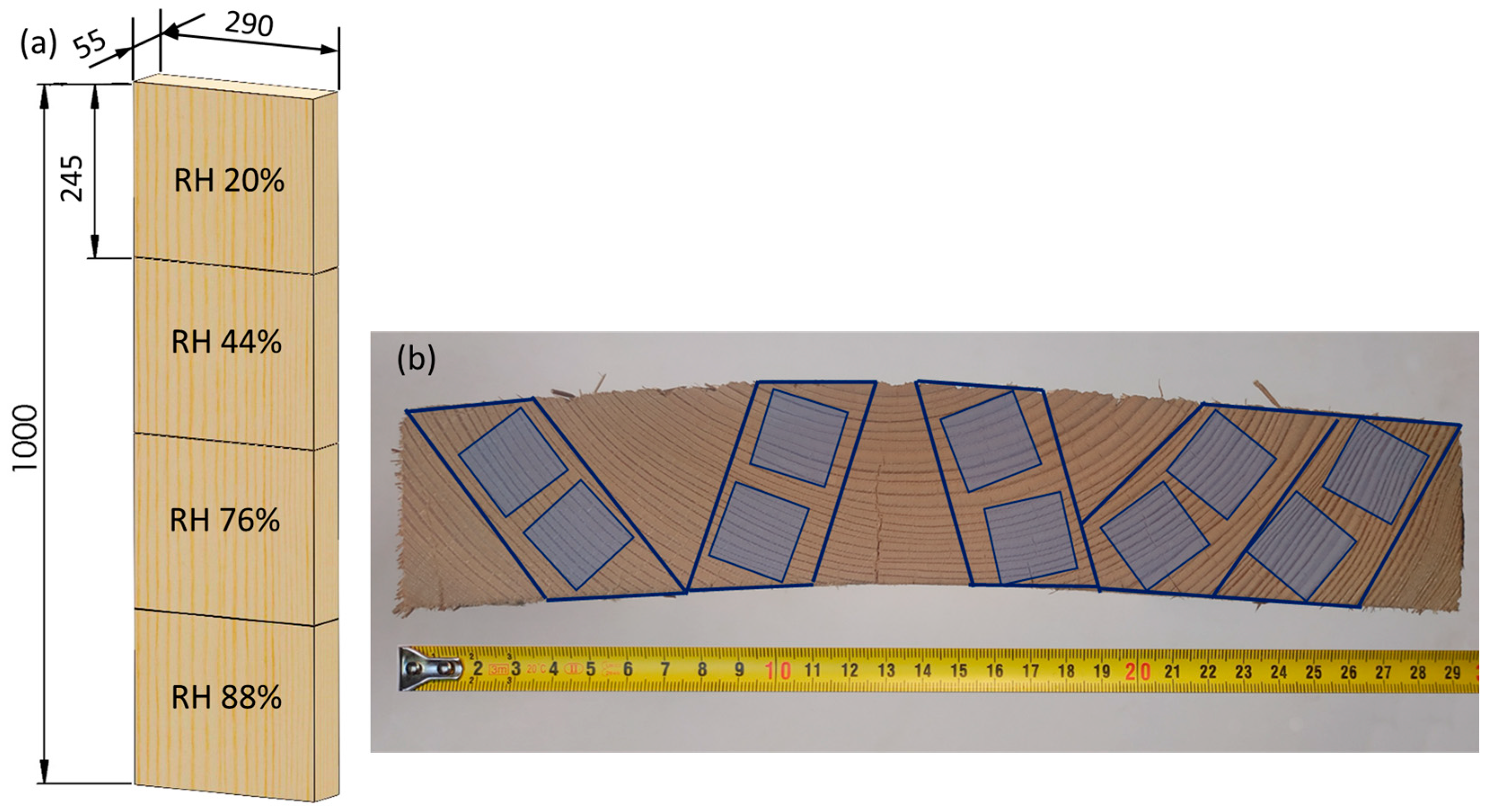 Polymers 16 01313 g001