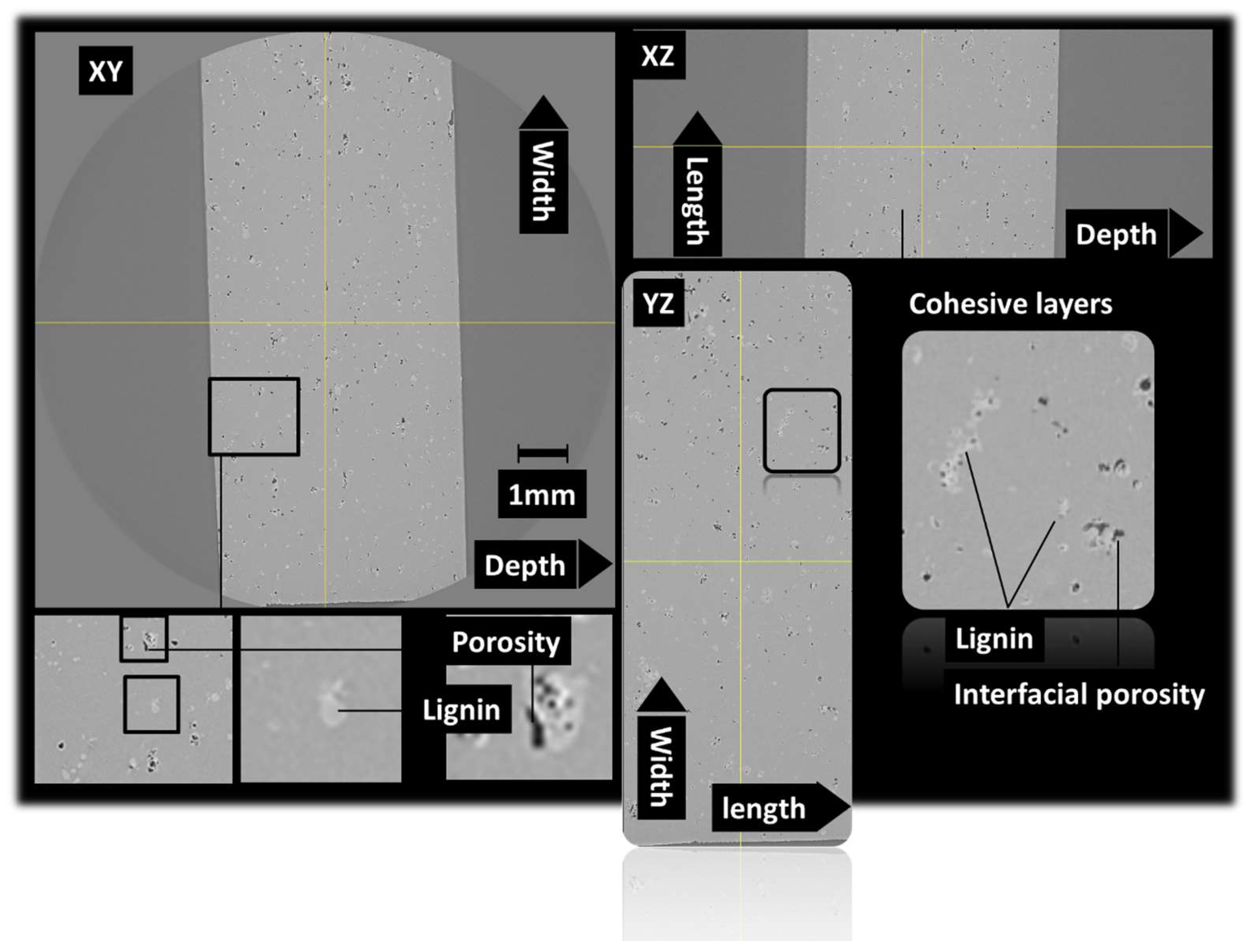 Polymers 16 01342 g004