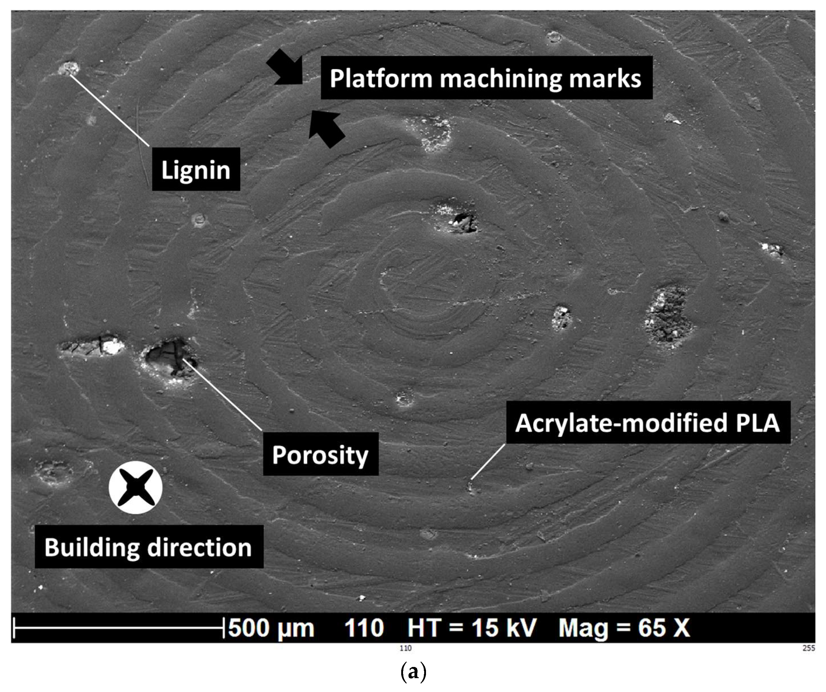 Polymers 16 01342 g013a