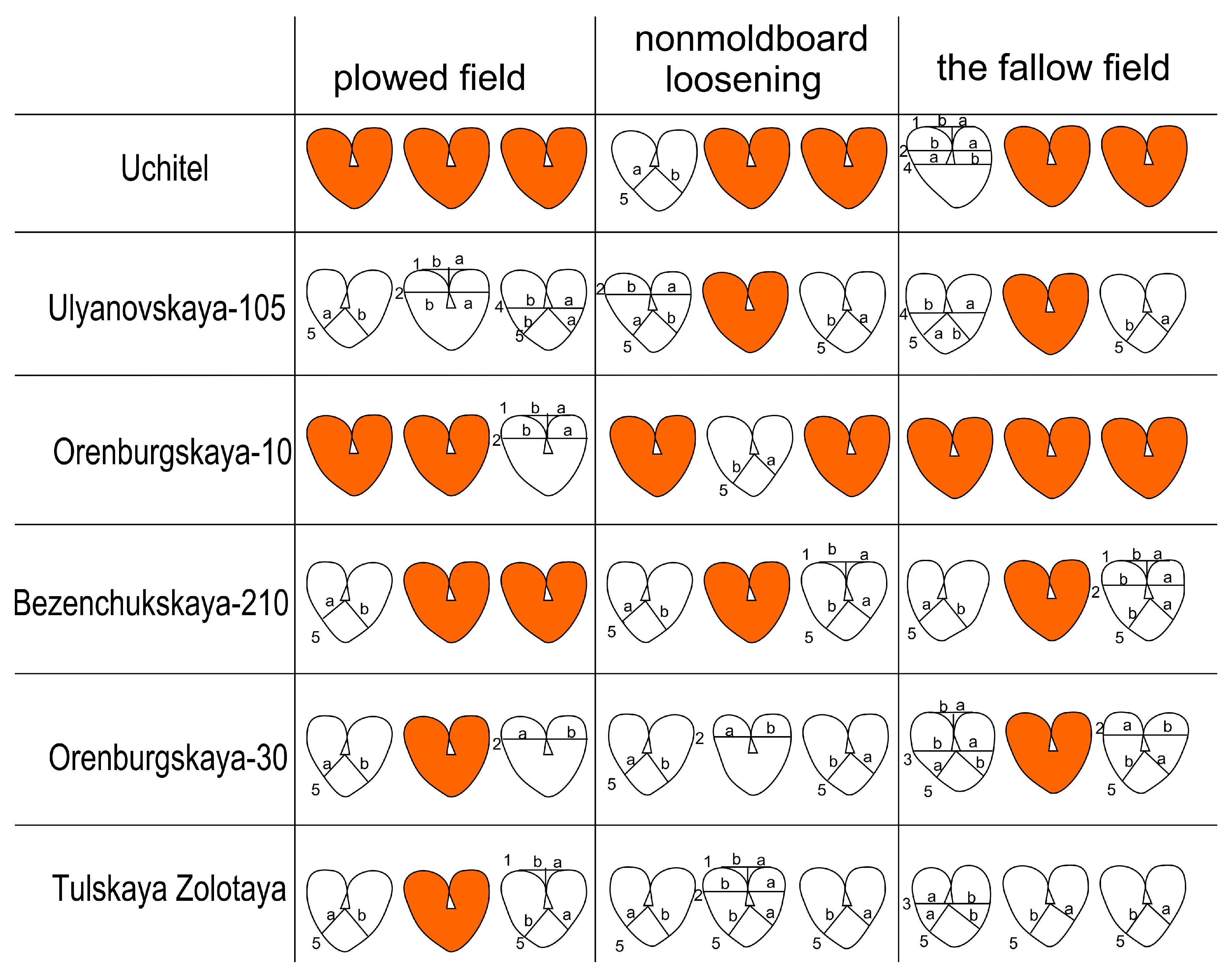 Symmetry 16 00548 g003