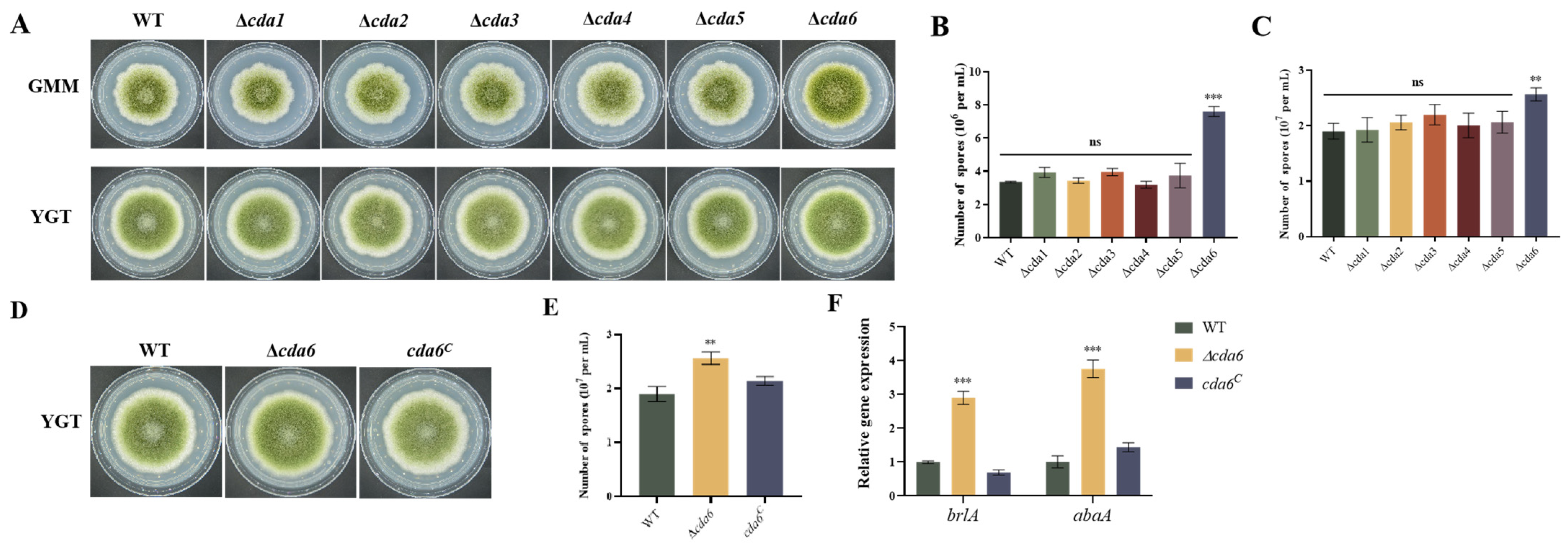 Toxins 16 00217 g003