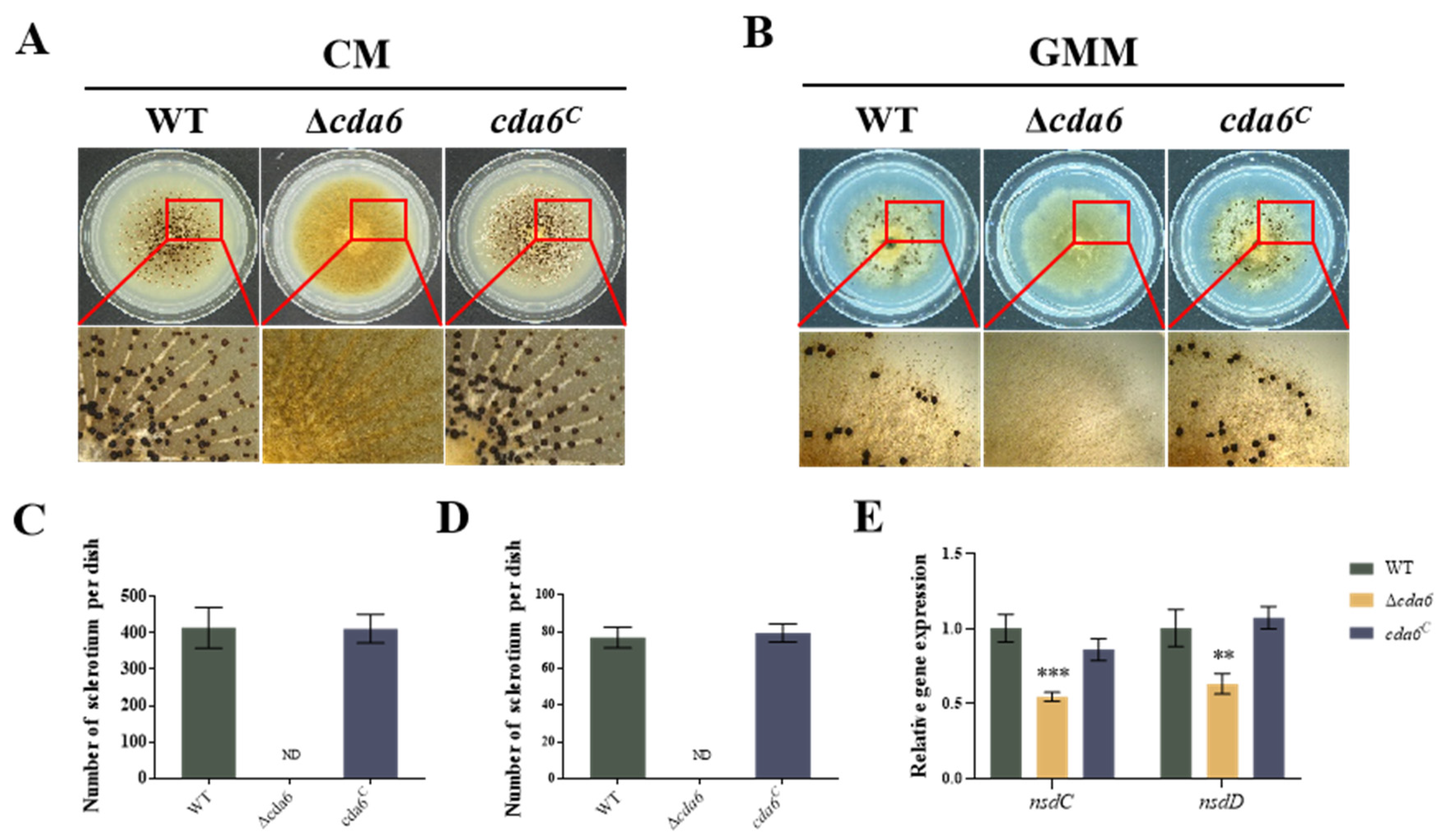 Toxins 16 00217 g005