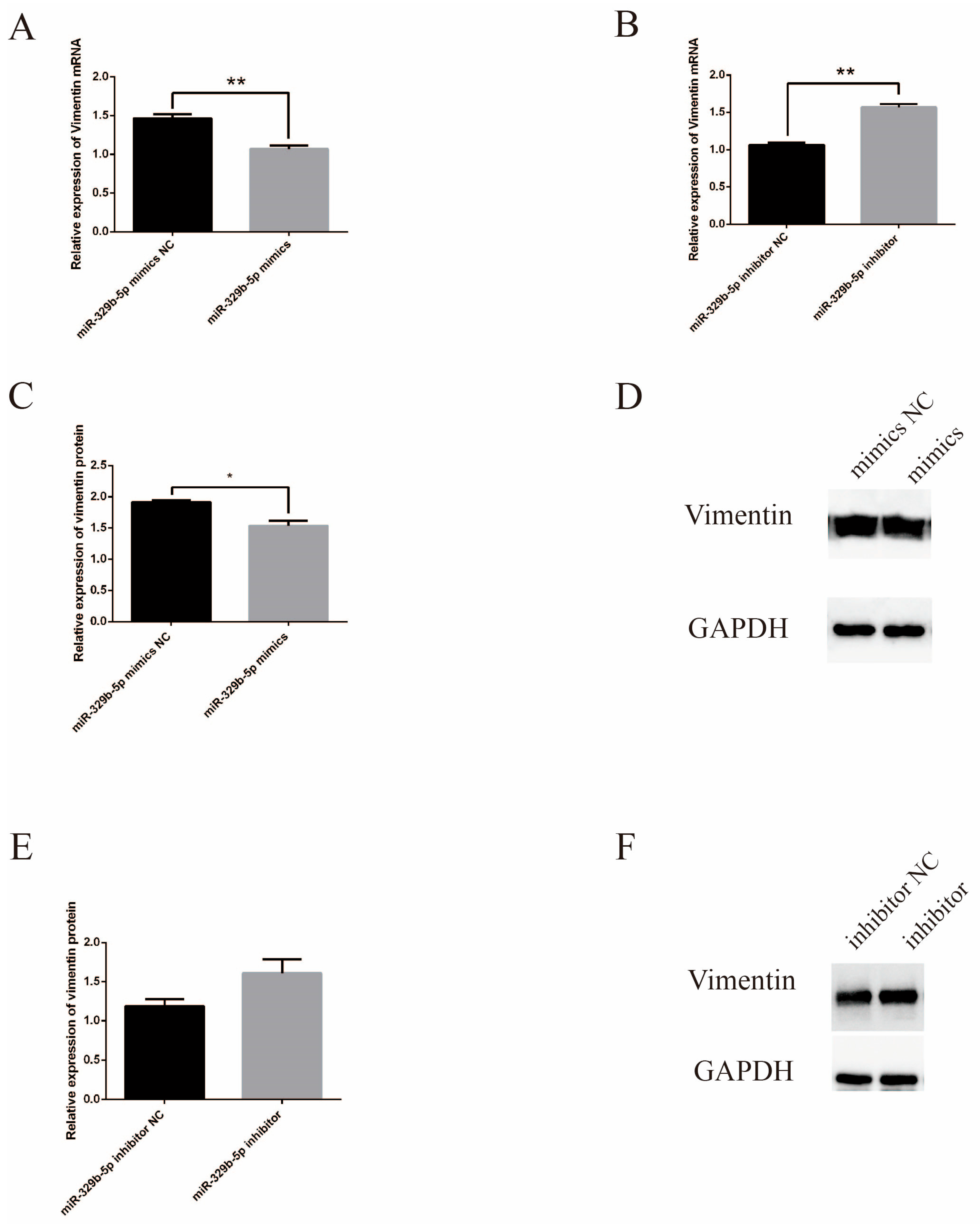 Vetsci 11 00206 g003