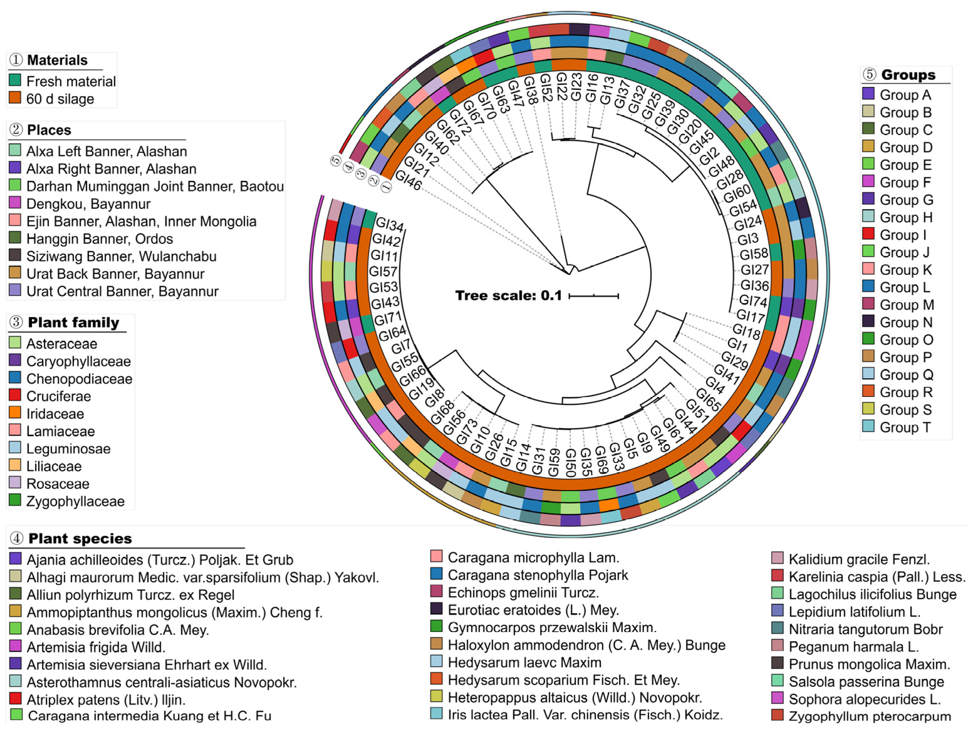 Animals 14 01394 g001