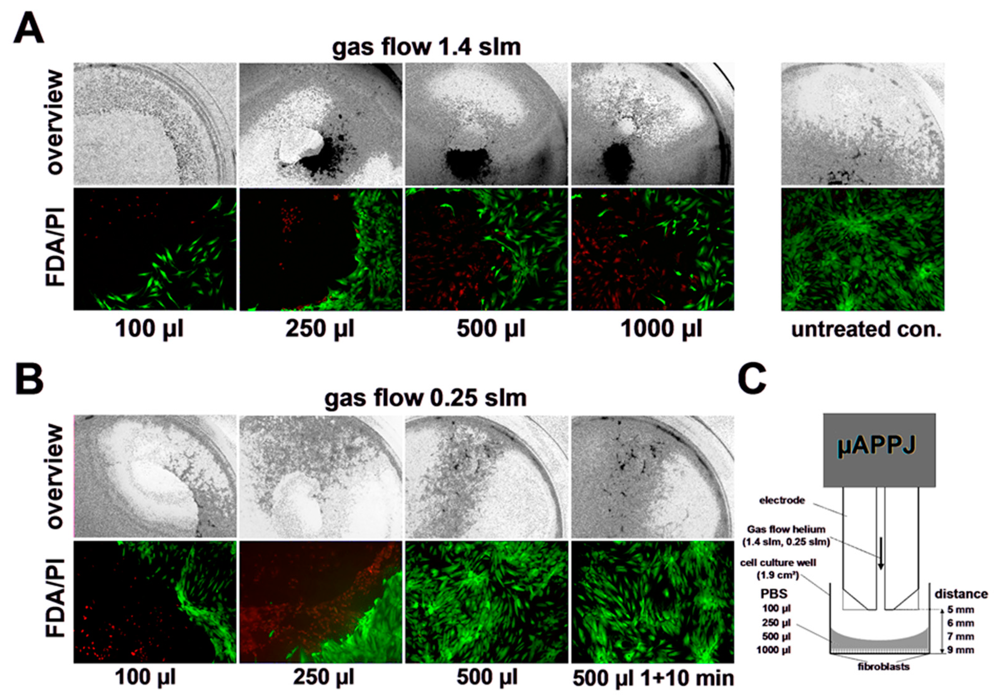 Biomedicines 11 01242 g004