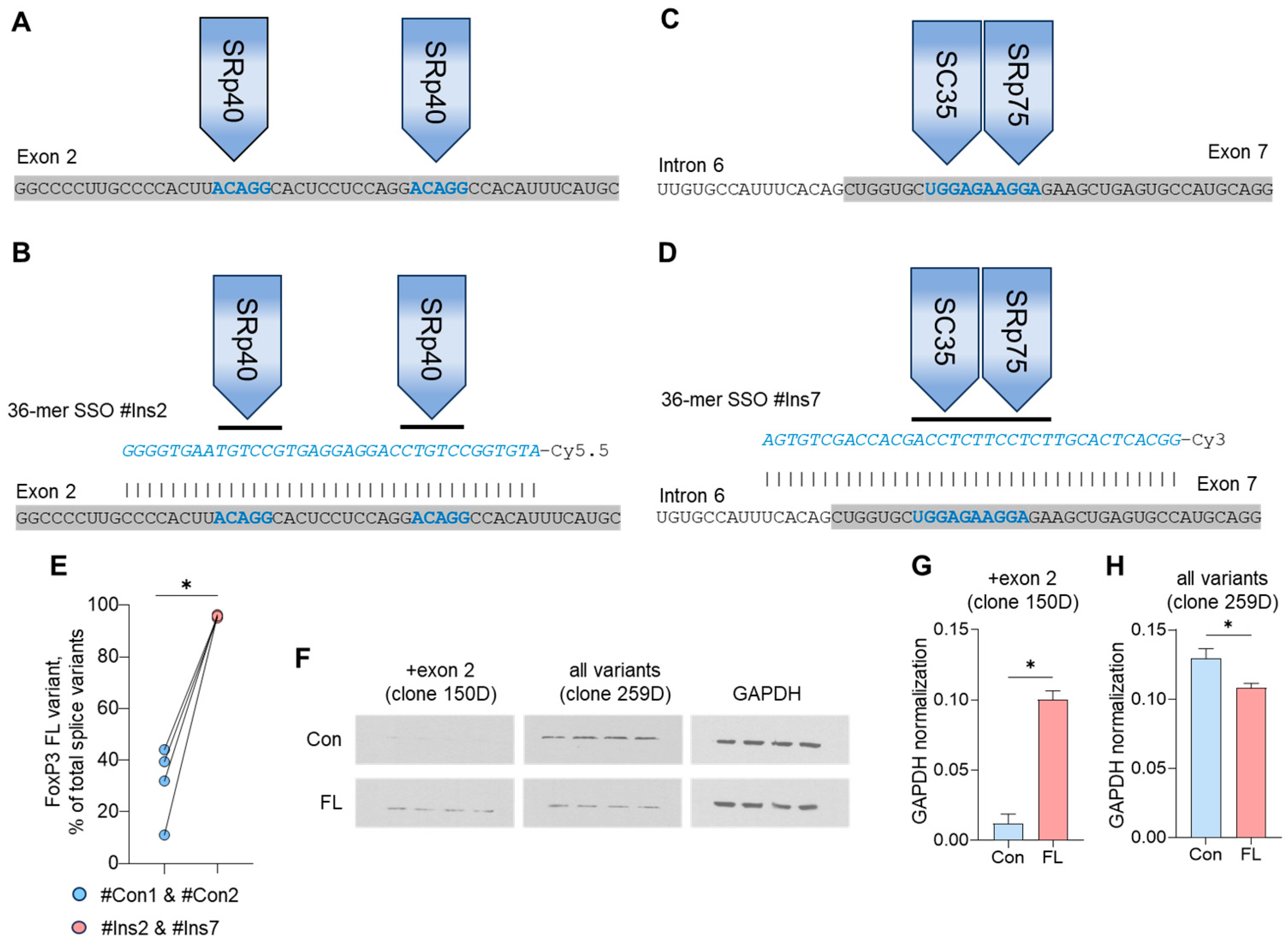 Biomedicines 12 01022 g002