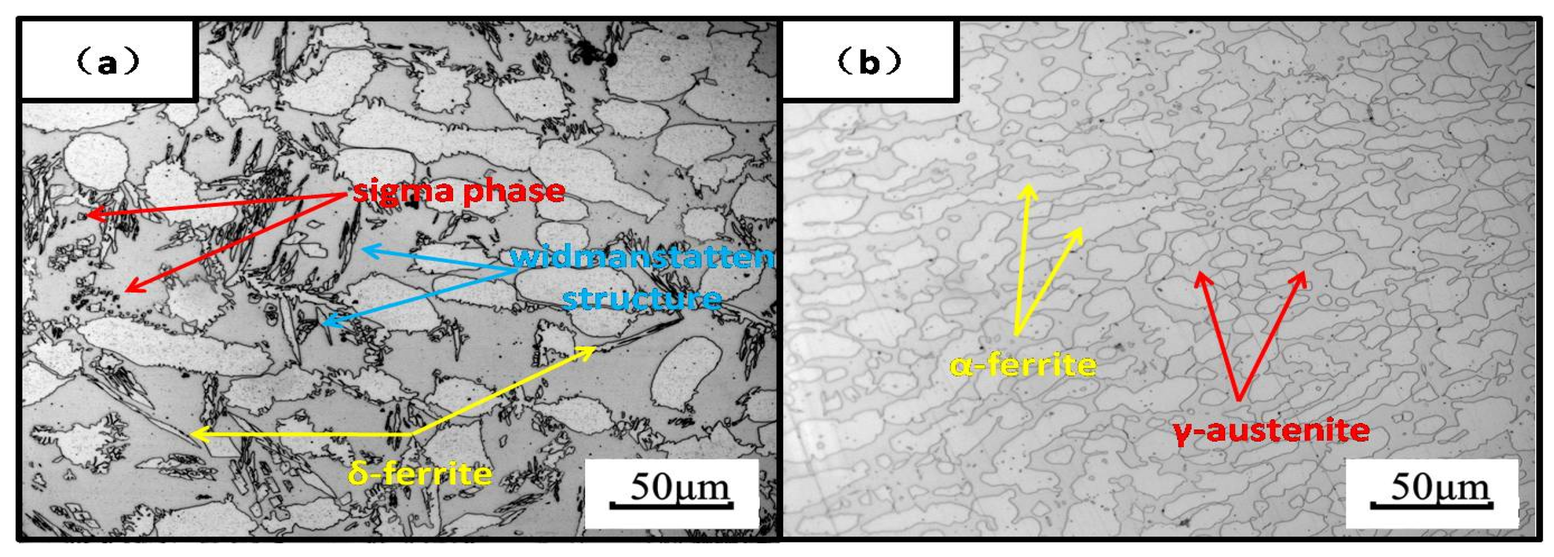 Coatings 14 00306 g003