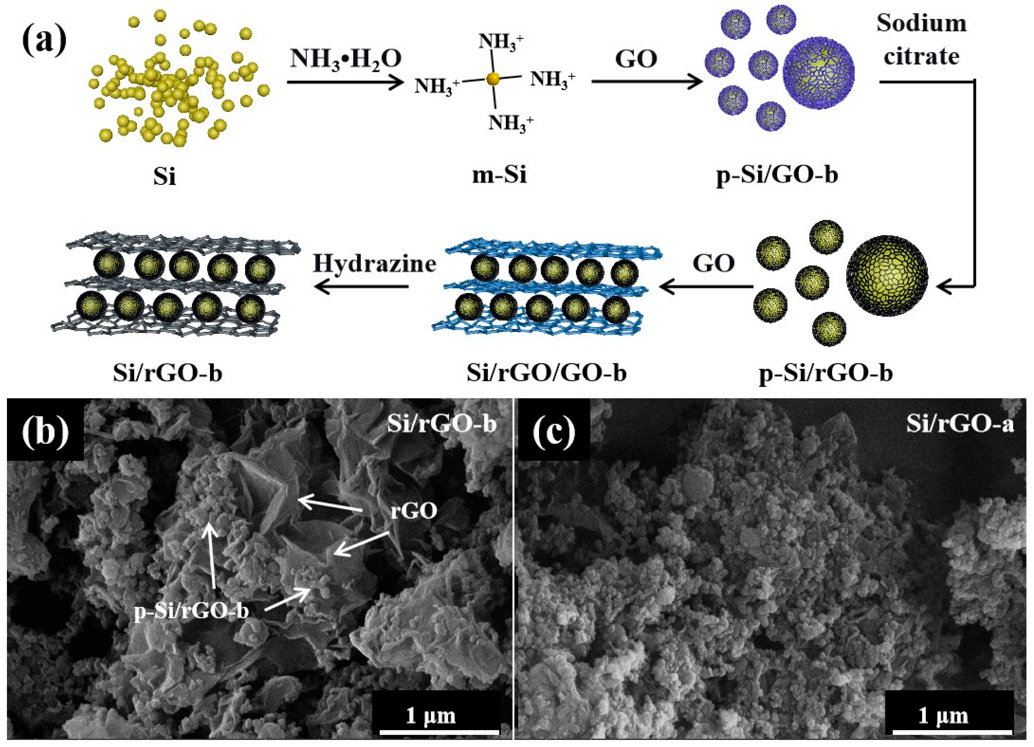 Molecules 29 02178 g001