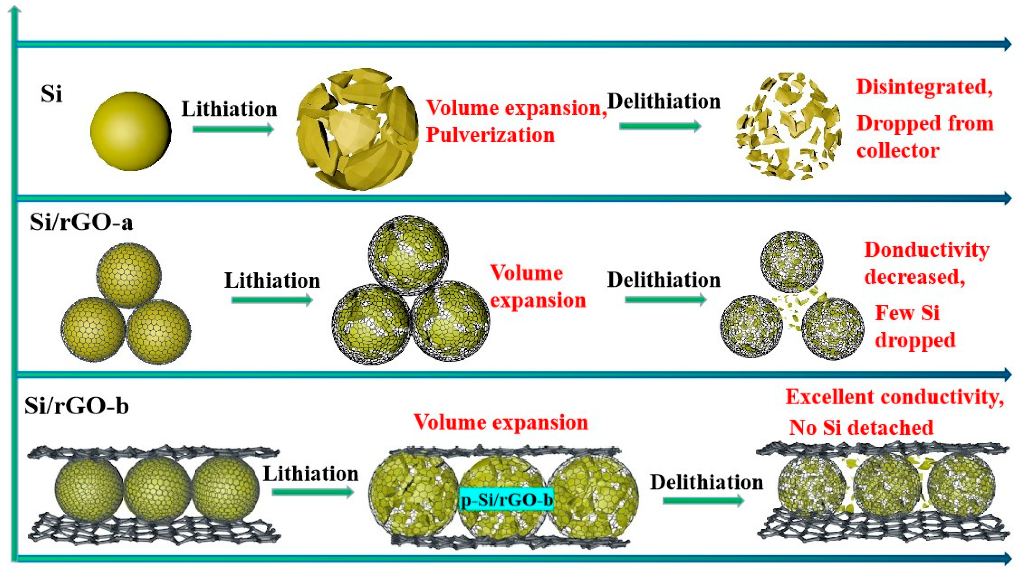 Molecules 29 02178 g007