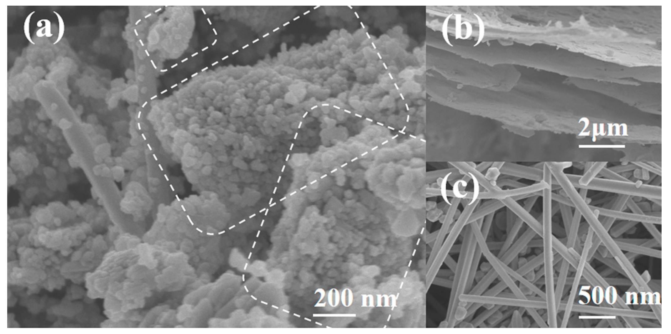 Molecules 29 02182 g004