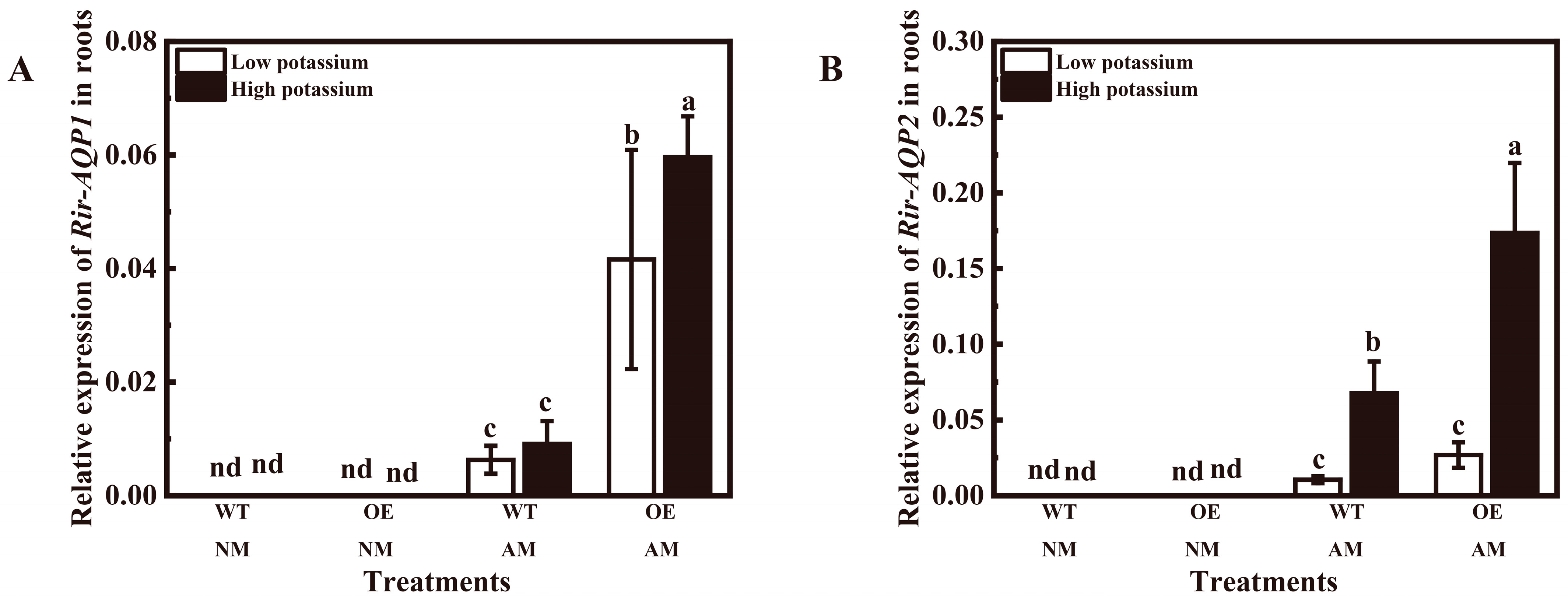 Plants 13 01244 g008