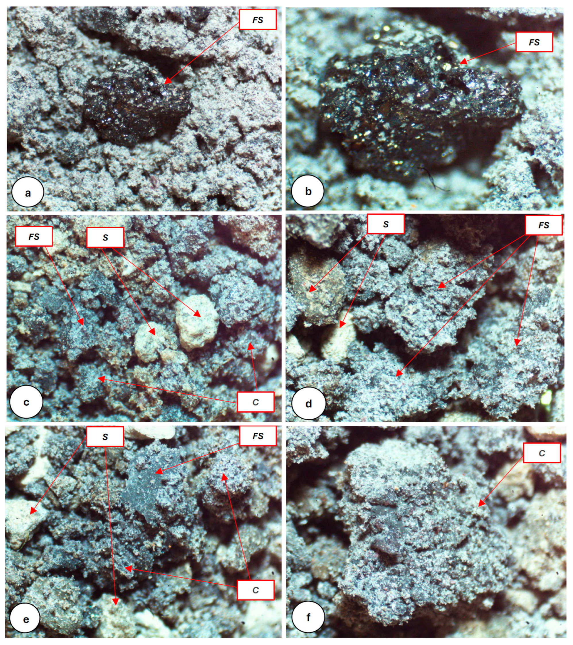 Polymers 16 01306 g006