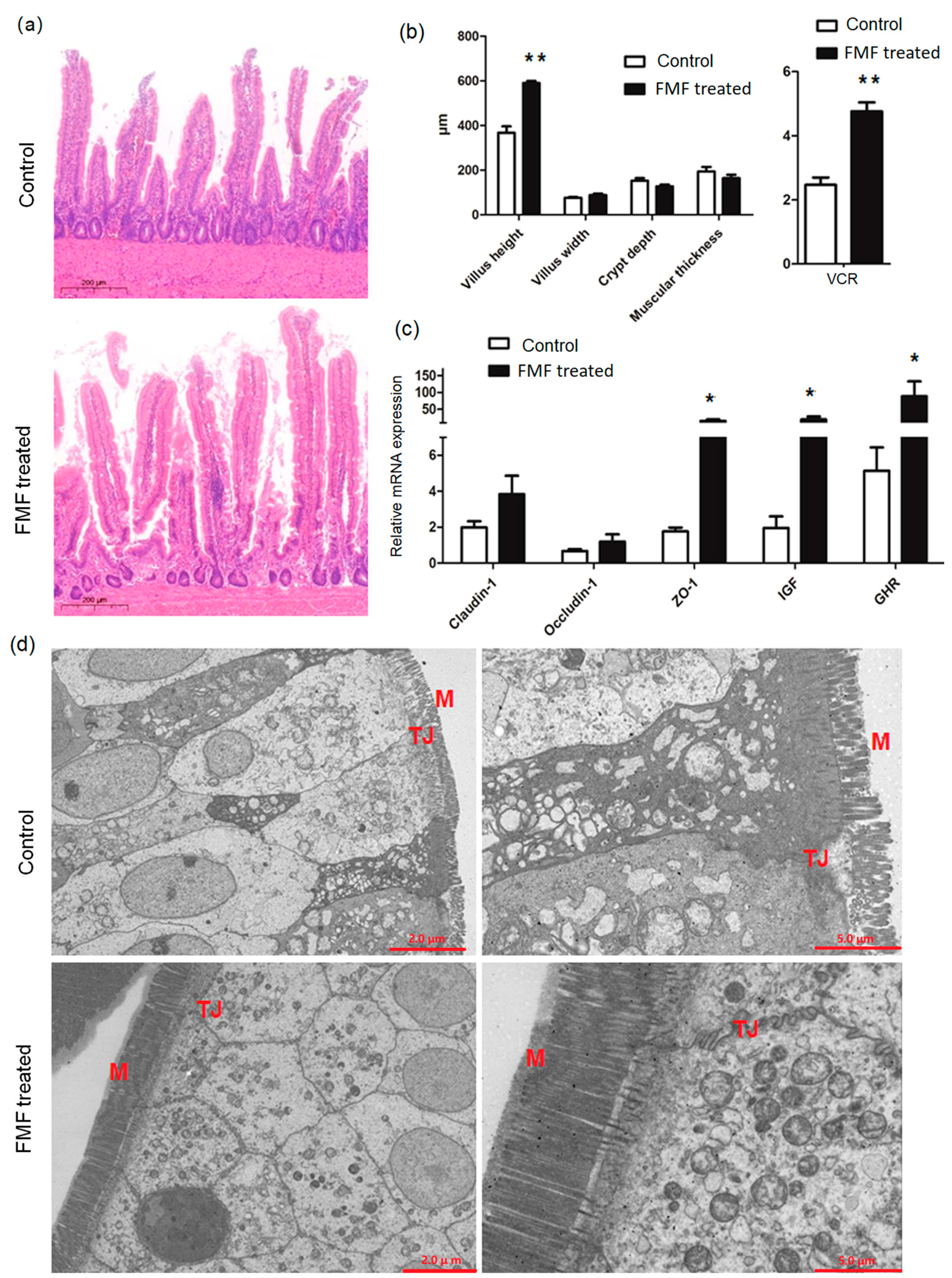 Animals 14 01411 g001