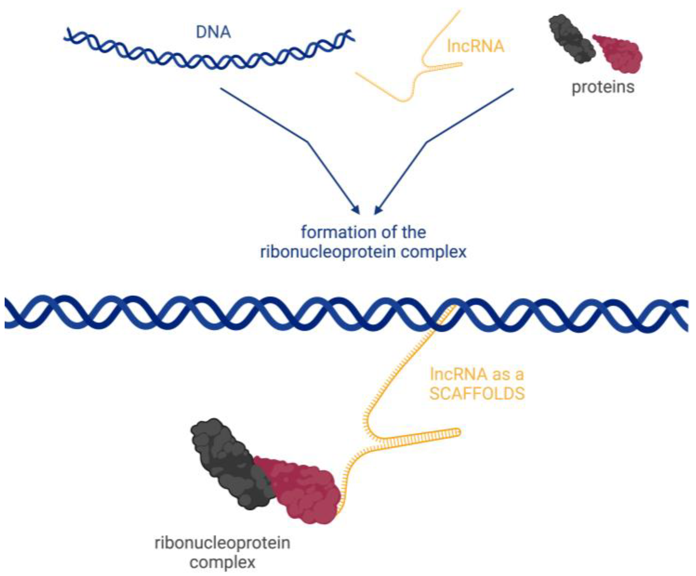Biomedicines 12 00932 g005