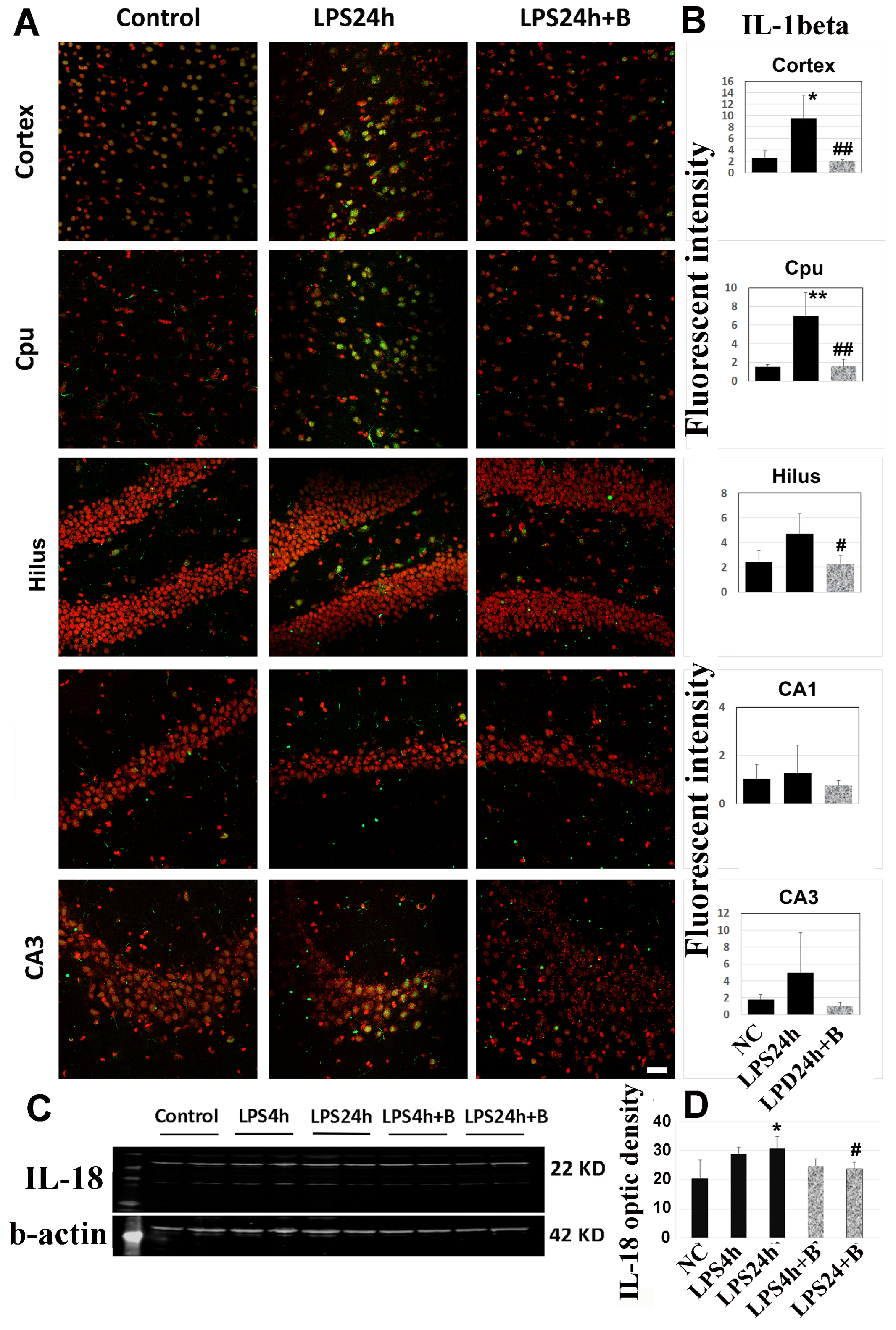 Brainsci 14 00467 g009