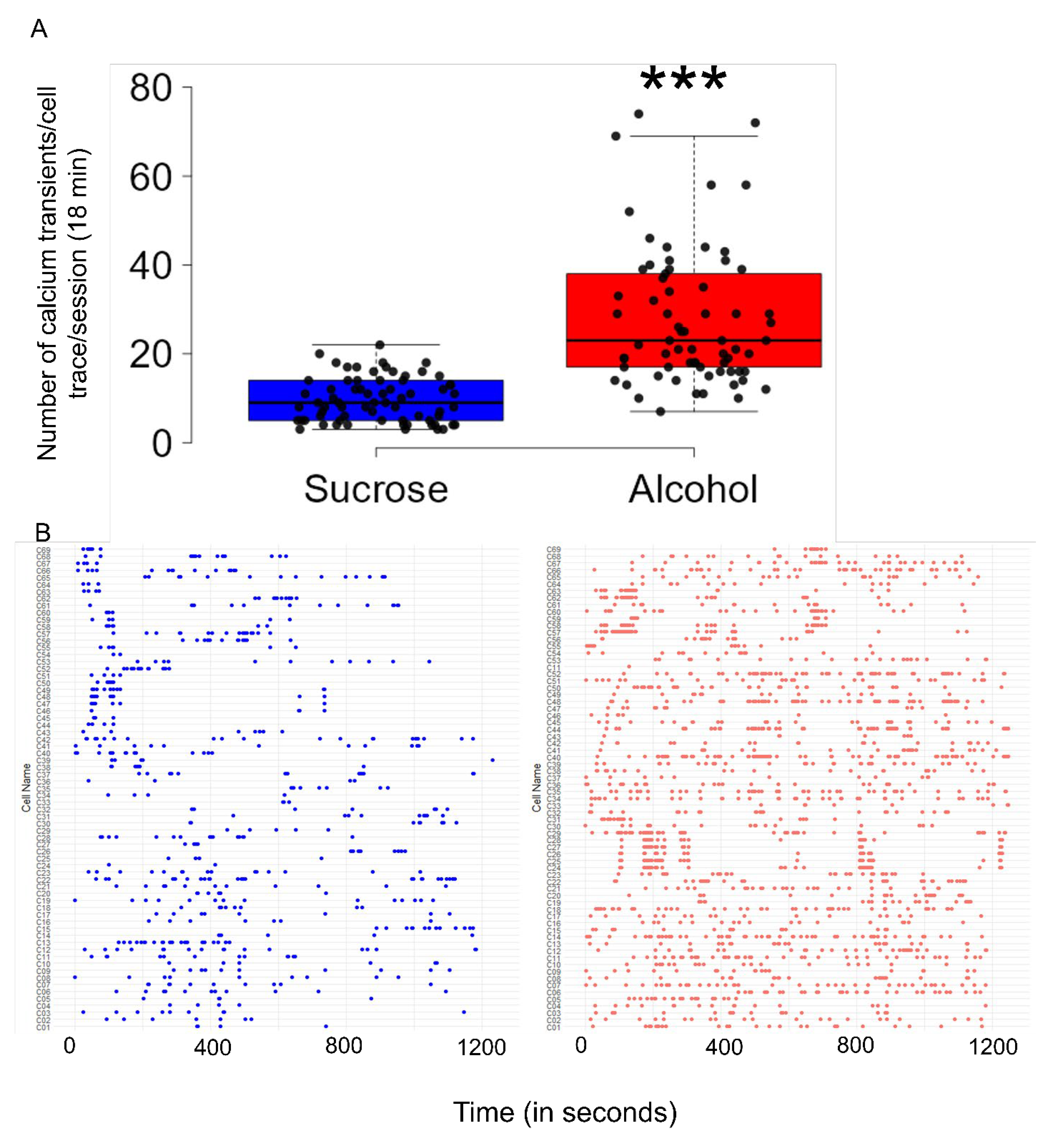 Brainsci 14 00484 g003