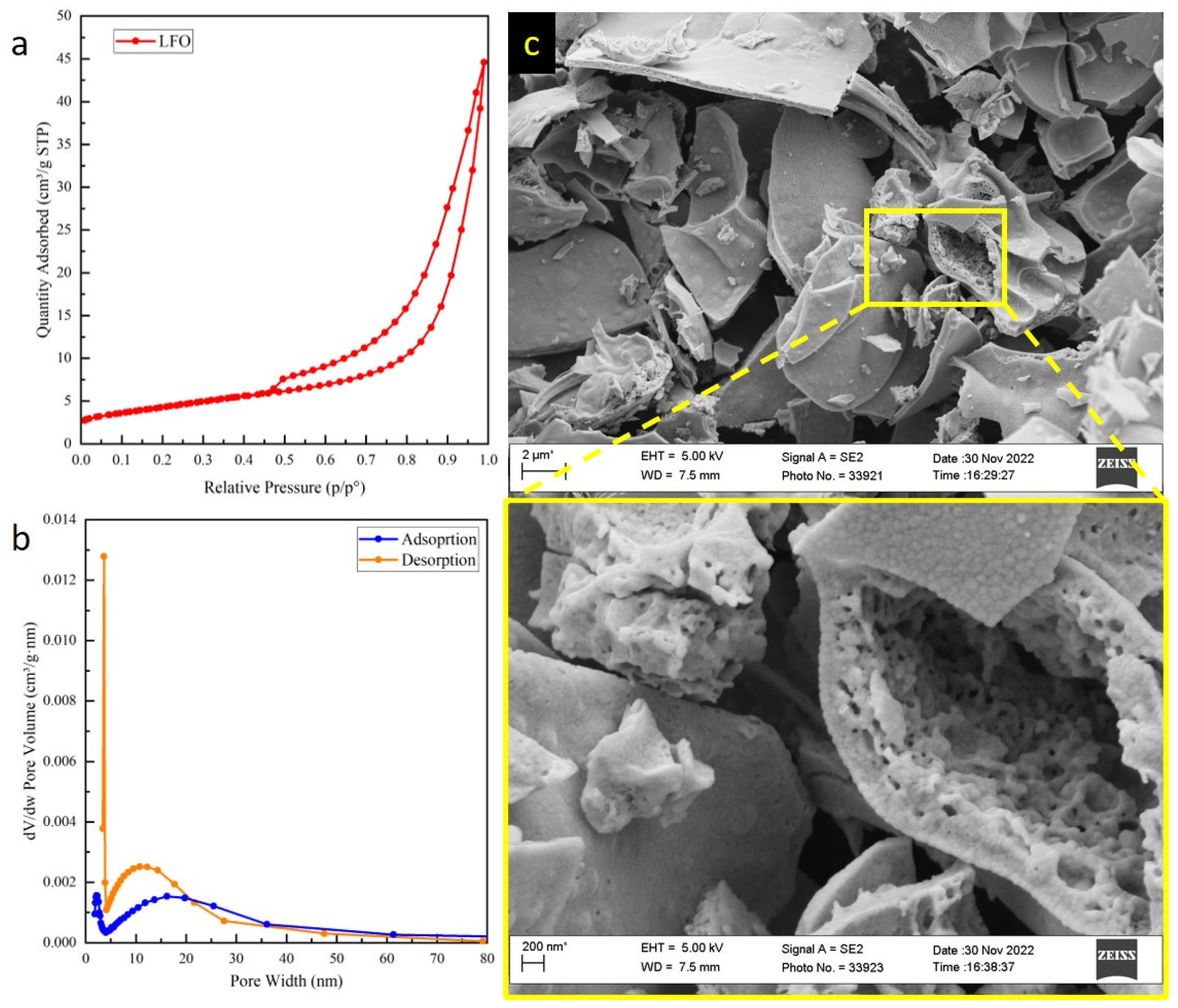 Catalysts 14 00313 g001