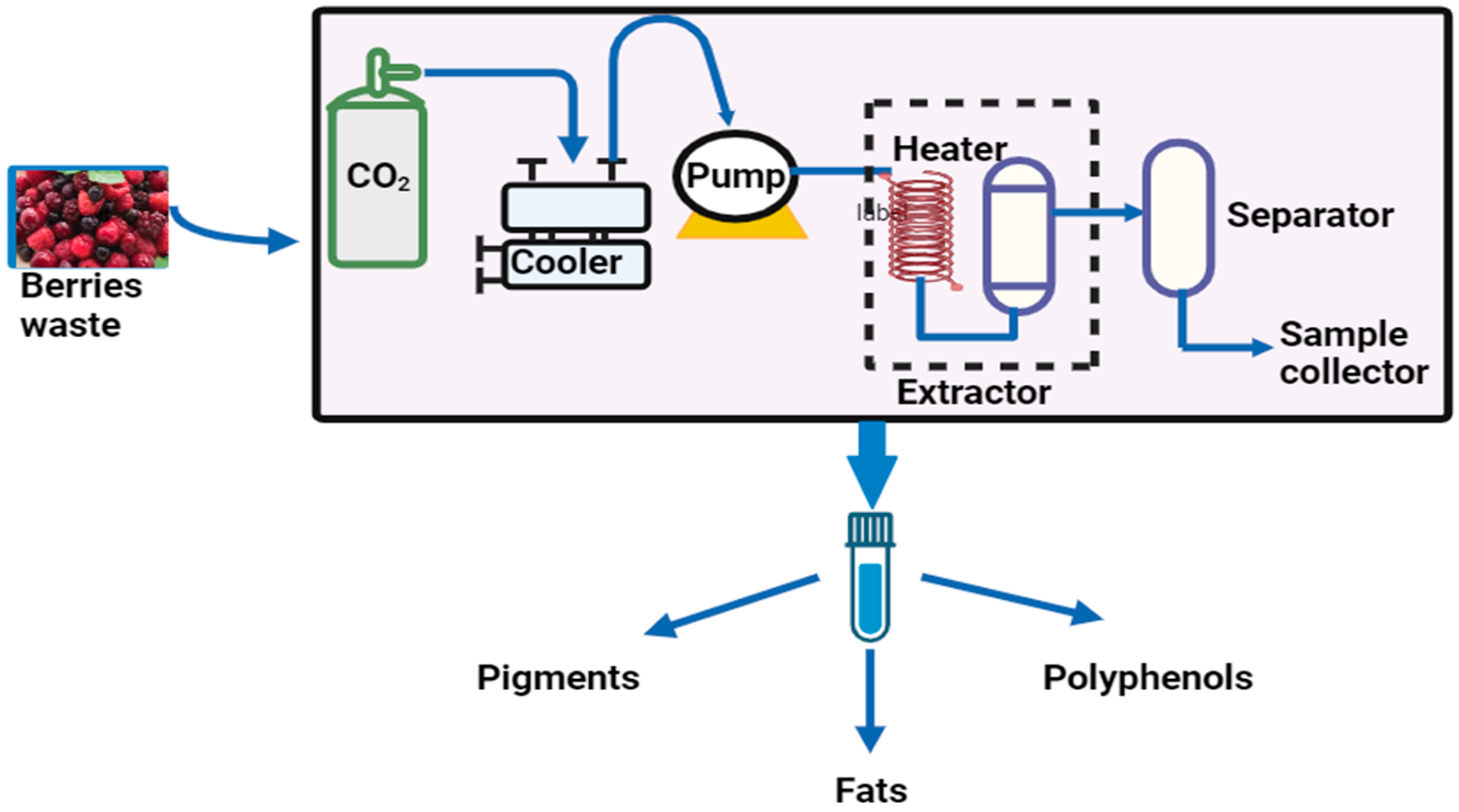 Horticulturae 10 00455 g003