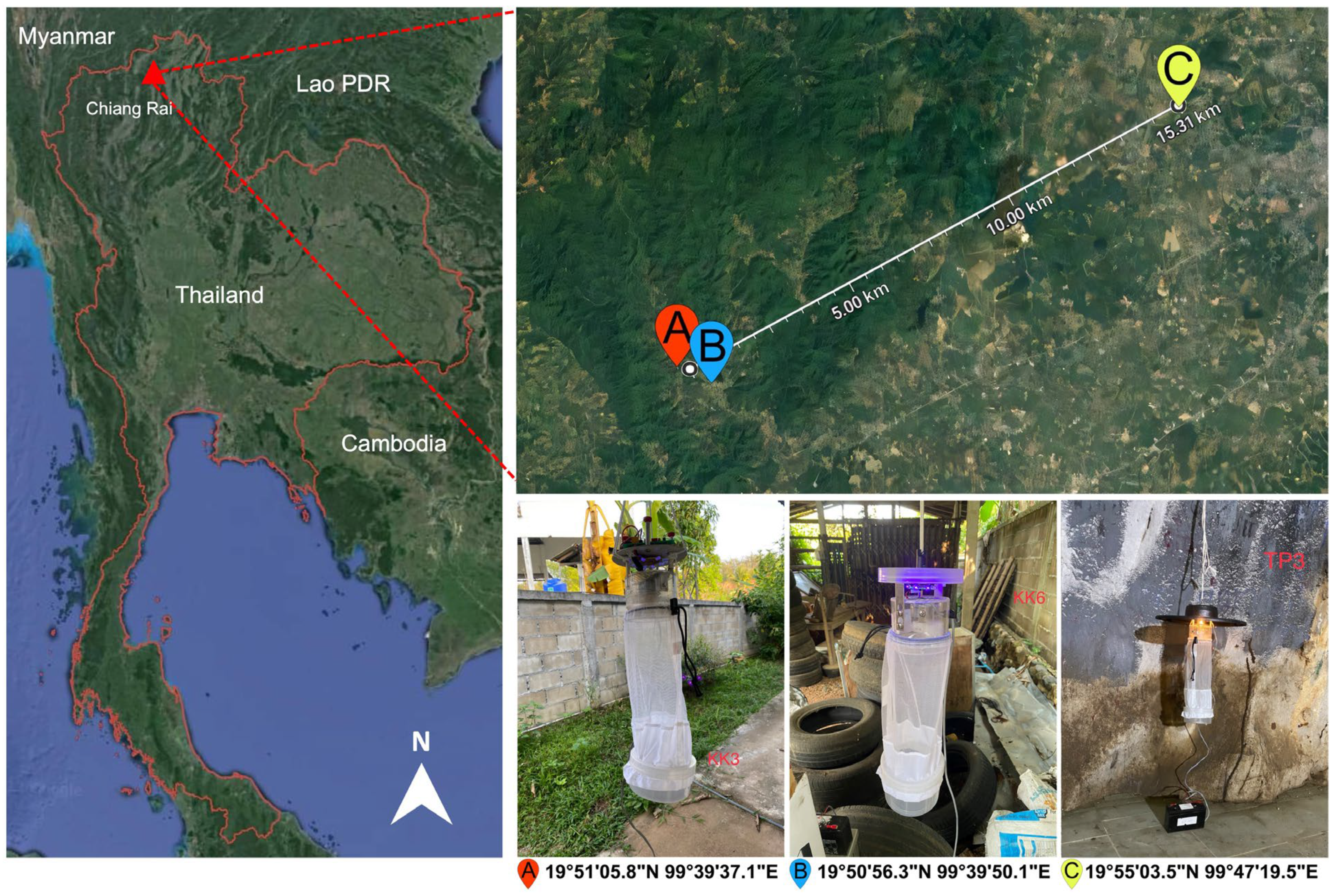 Insects 15 00327 g001