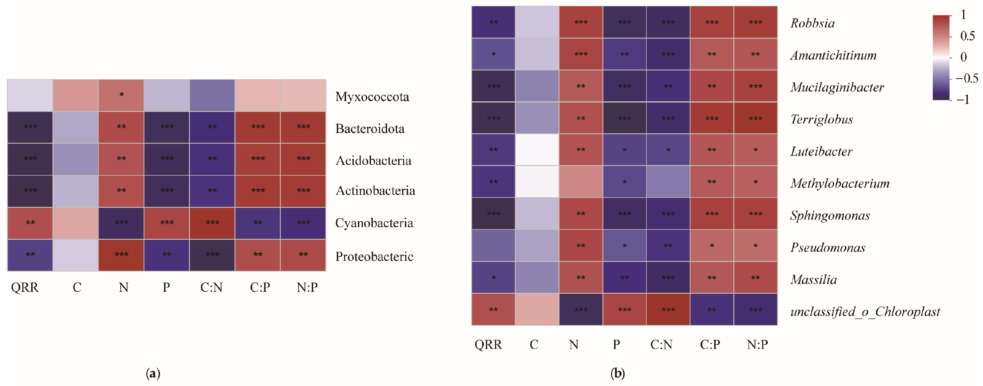 Microorganisms 12 00948 g007