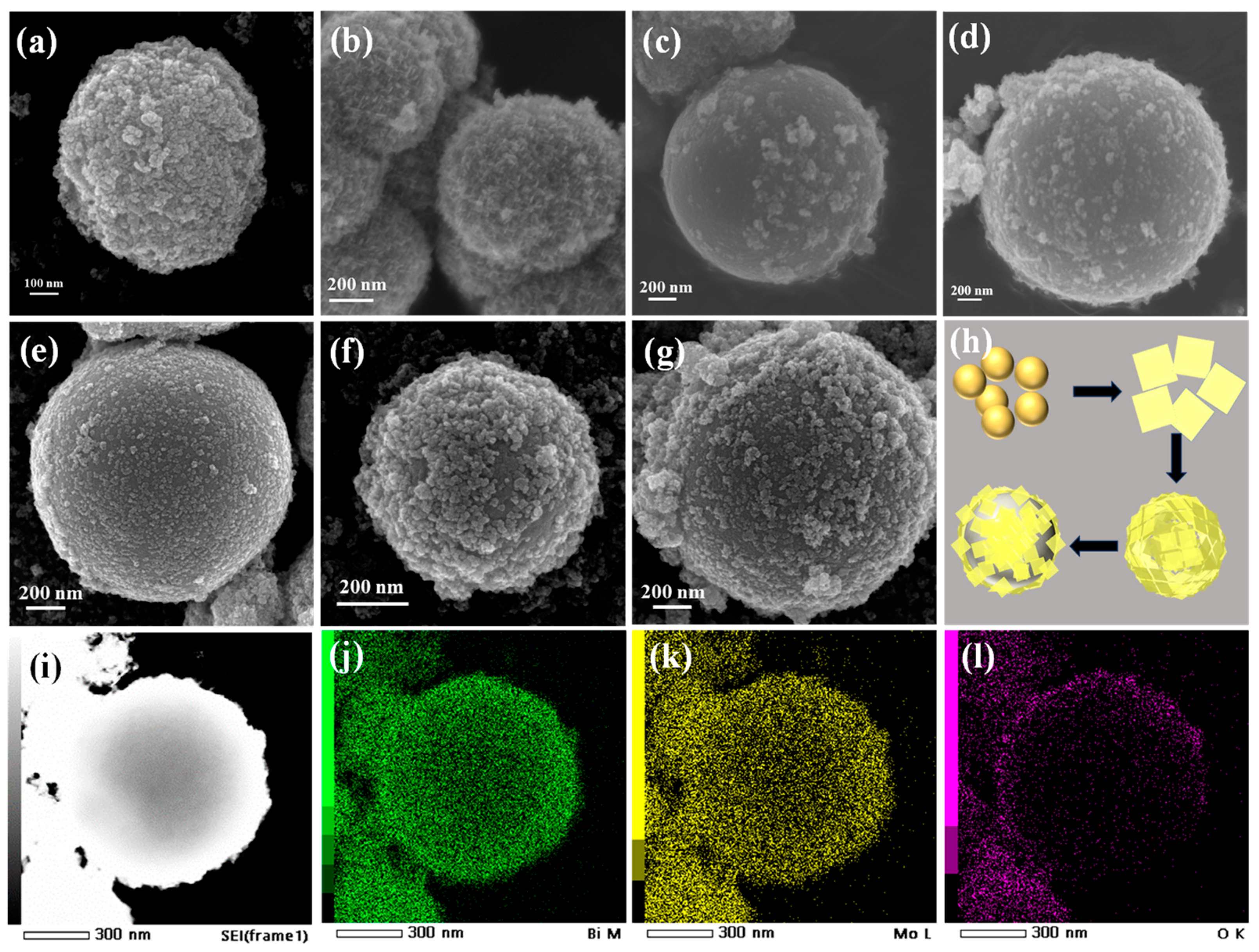 Nanomaterials 14 00780 g002
