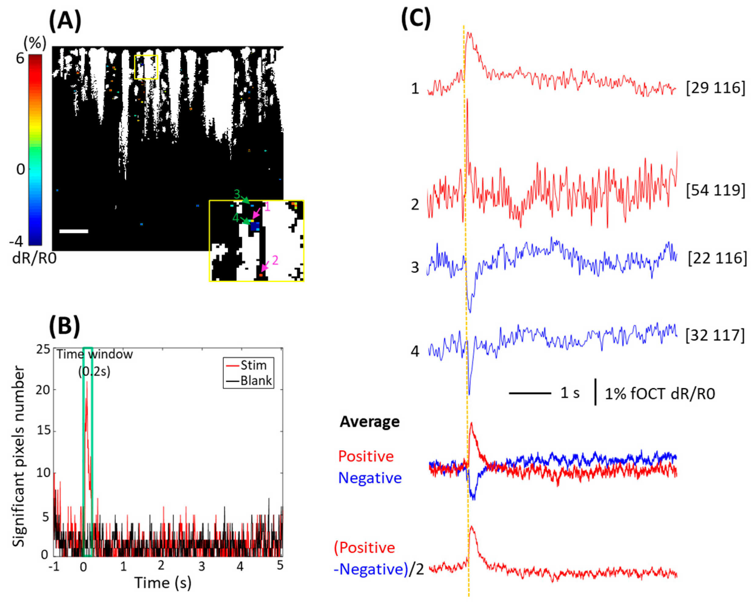 Photonics 11 00420 g007