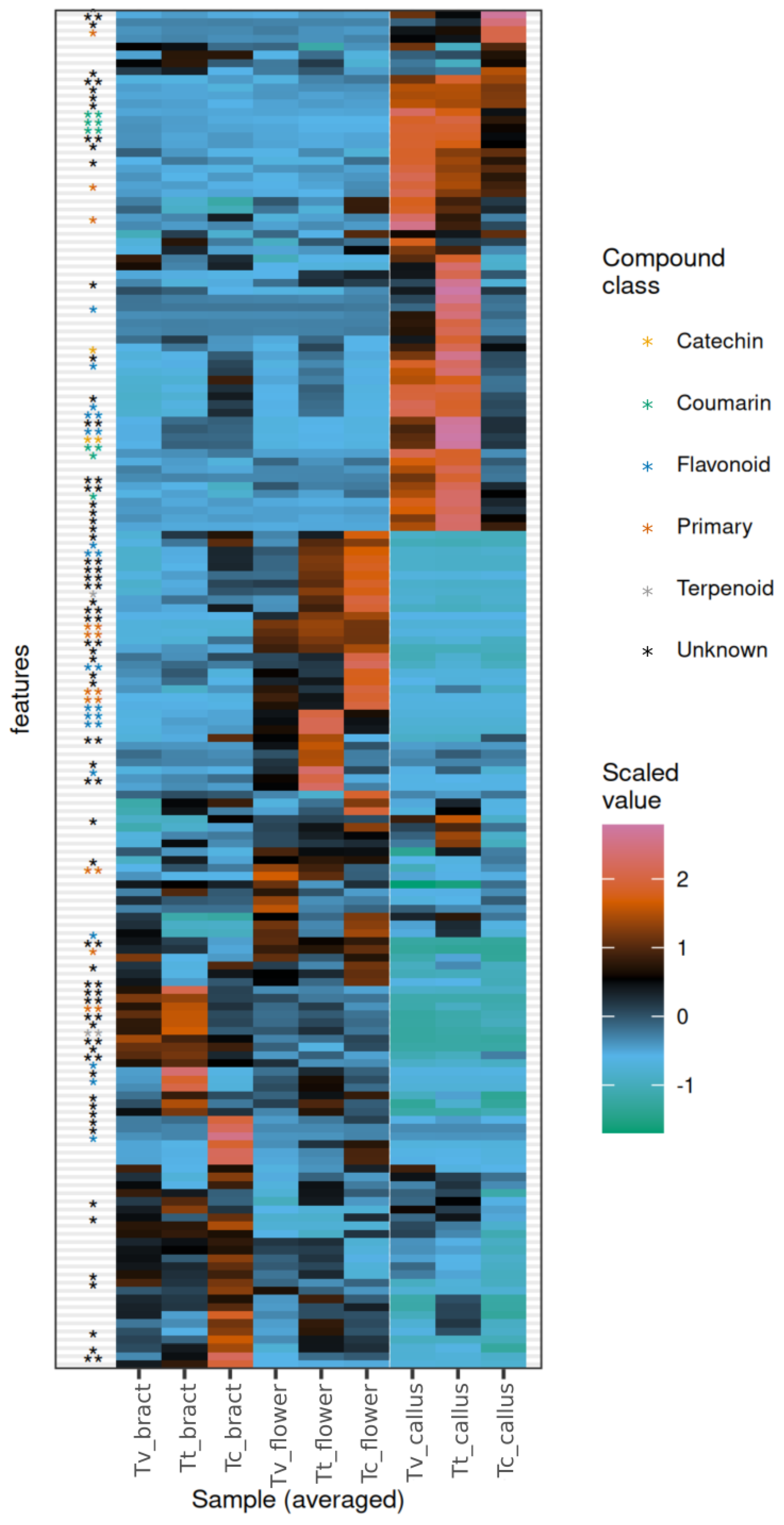 Plants 13 01288 g002