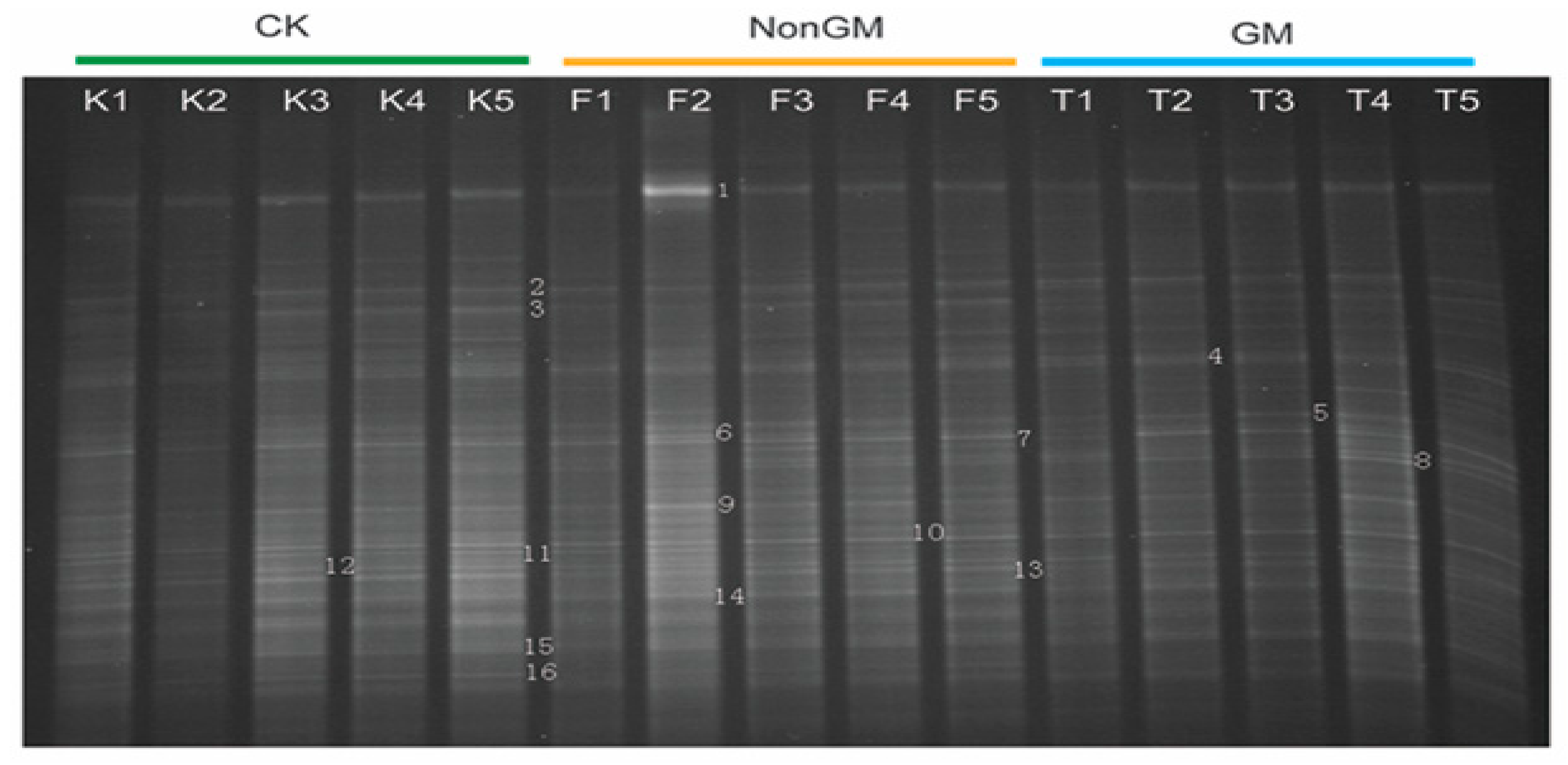 Plants 13 01300 g007