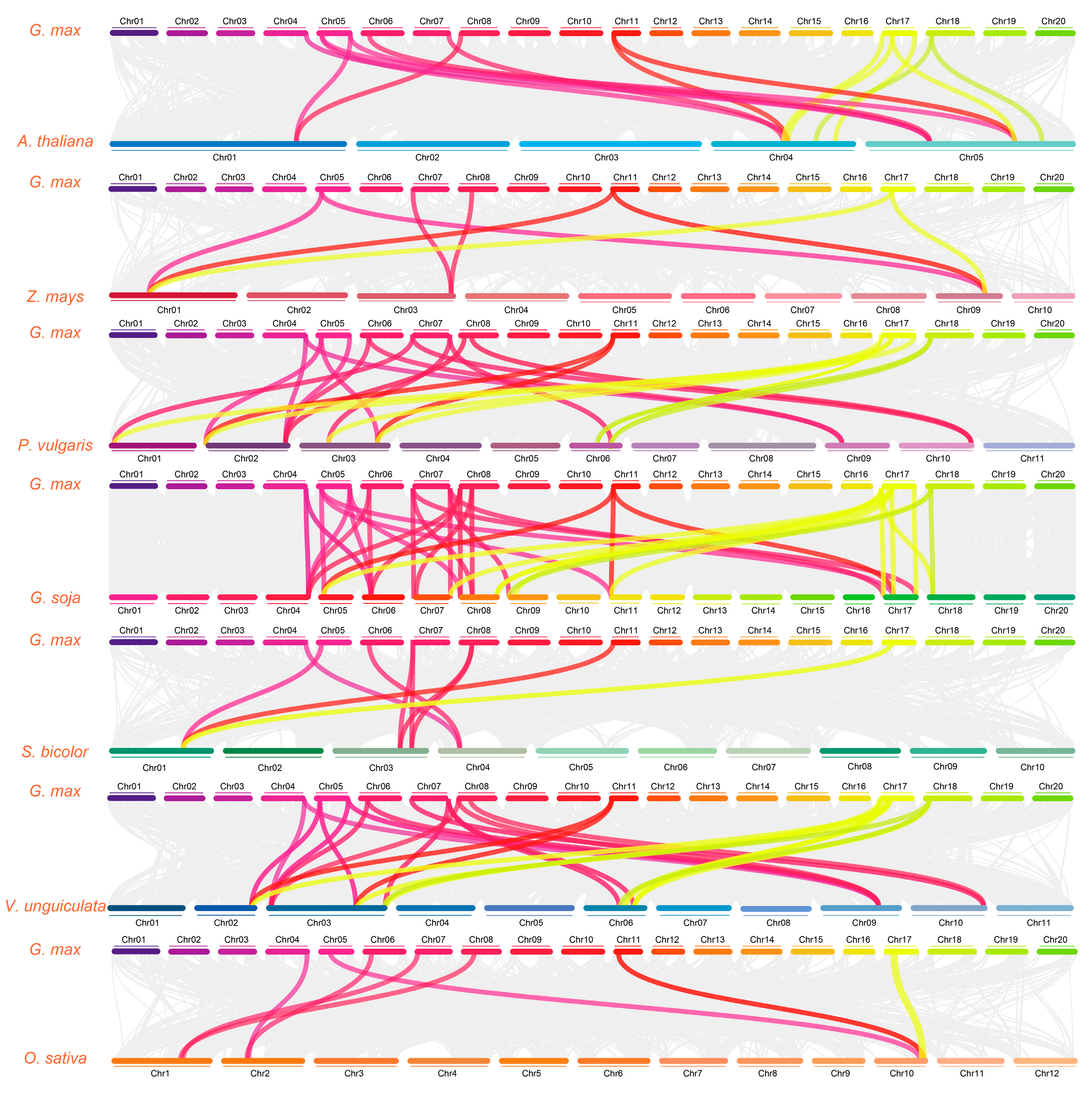 Plants 13 01304 g005