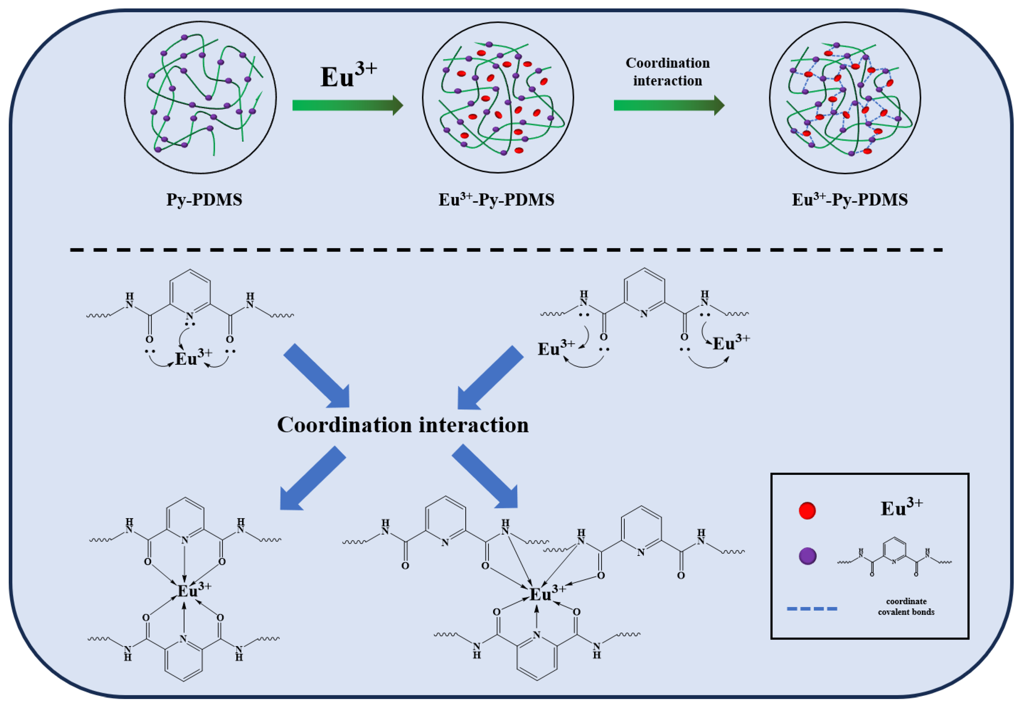 Polymers 16 01309 g005
