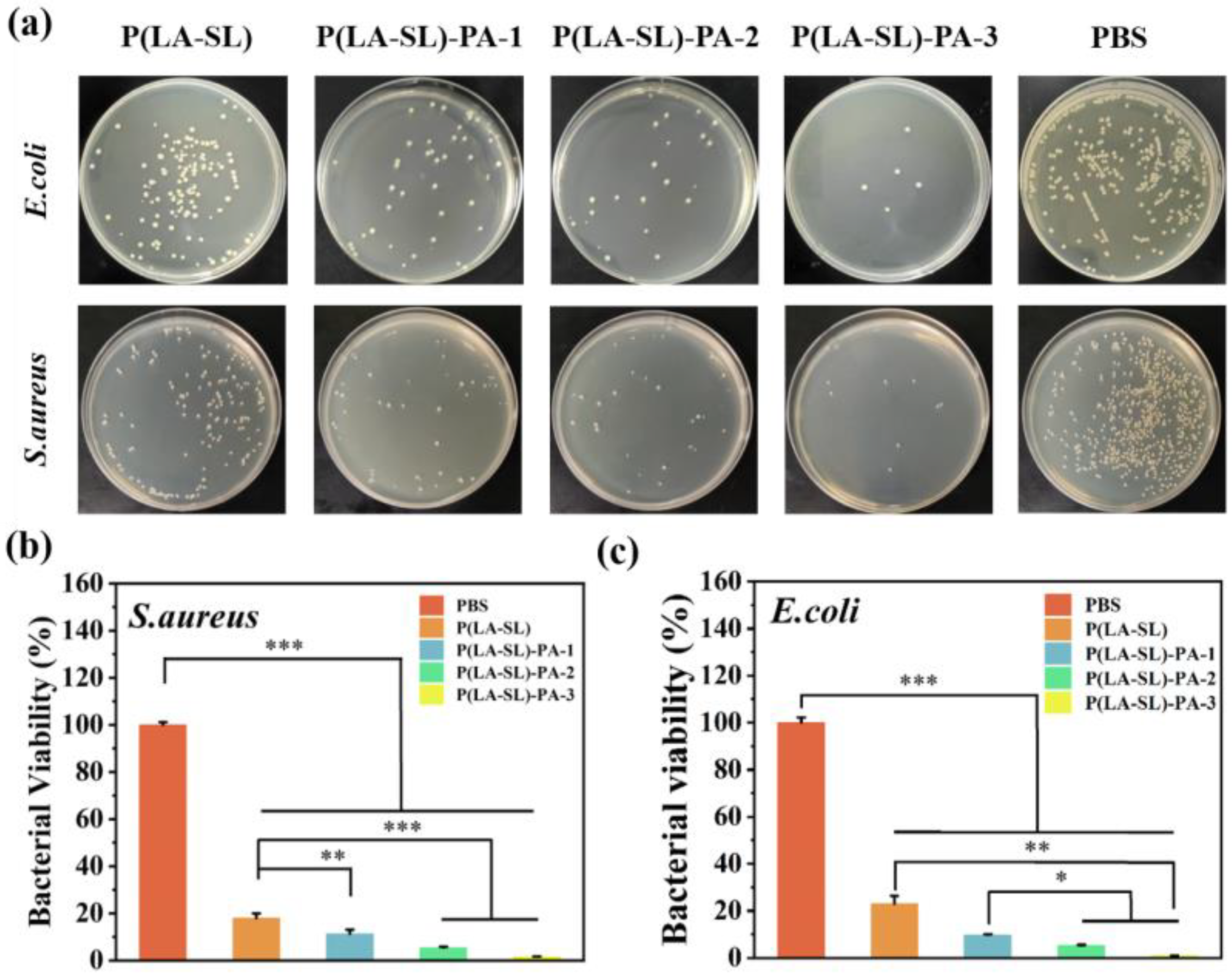 Polymers 16 01316 g006